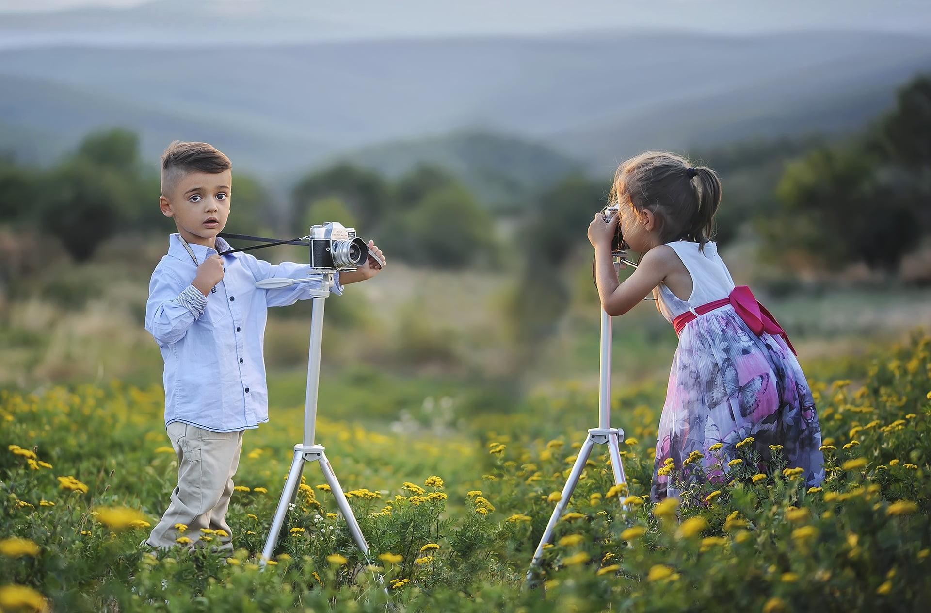 Boy and girl taking photo on yellow daisy field HD wallpaper