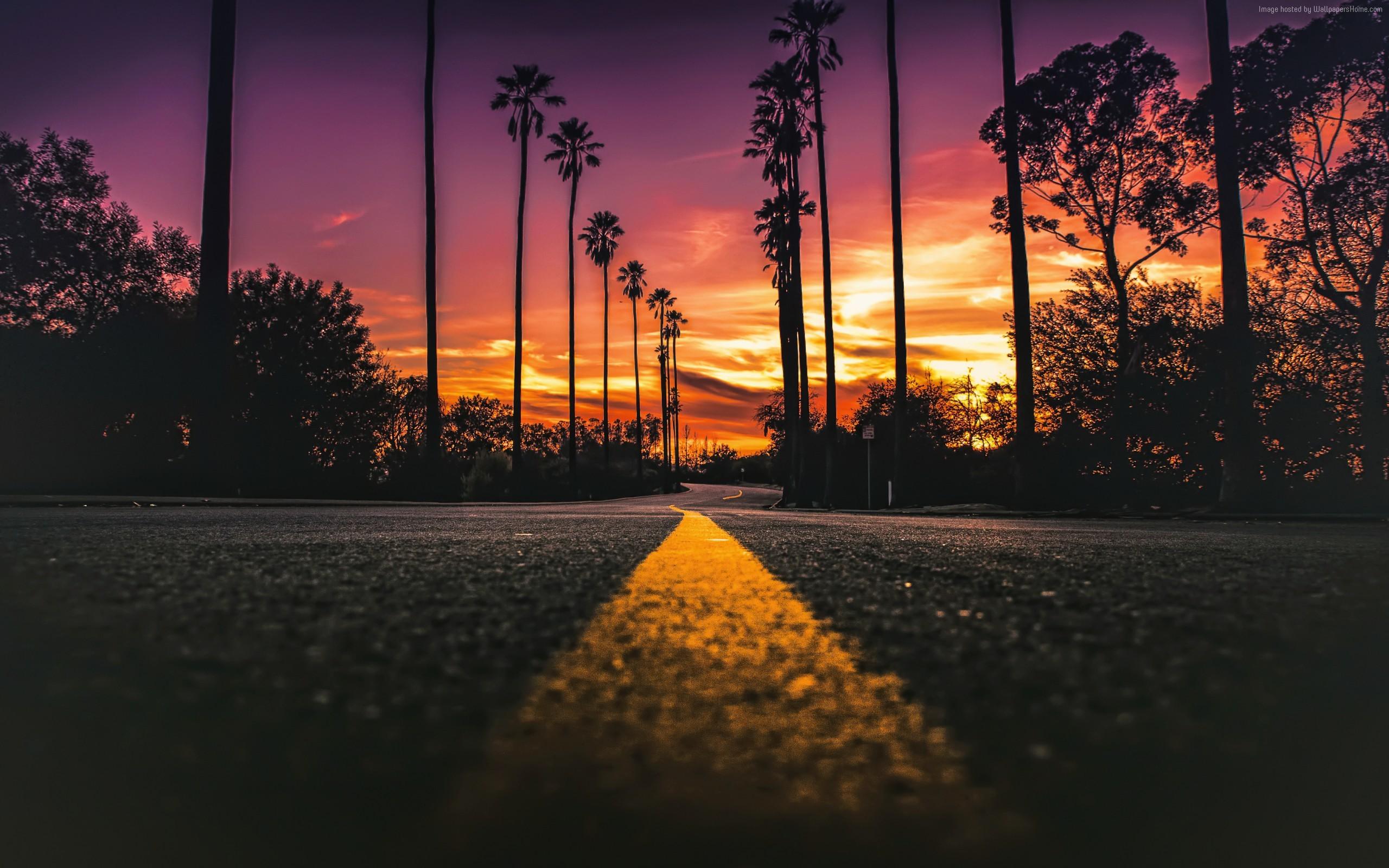 California Sunset Wallpaper