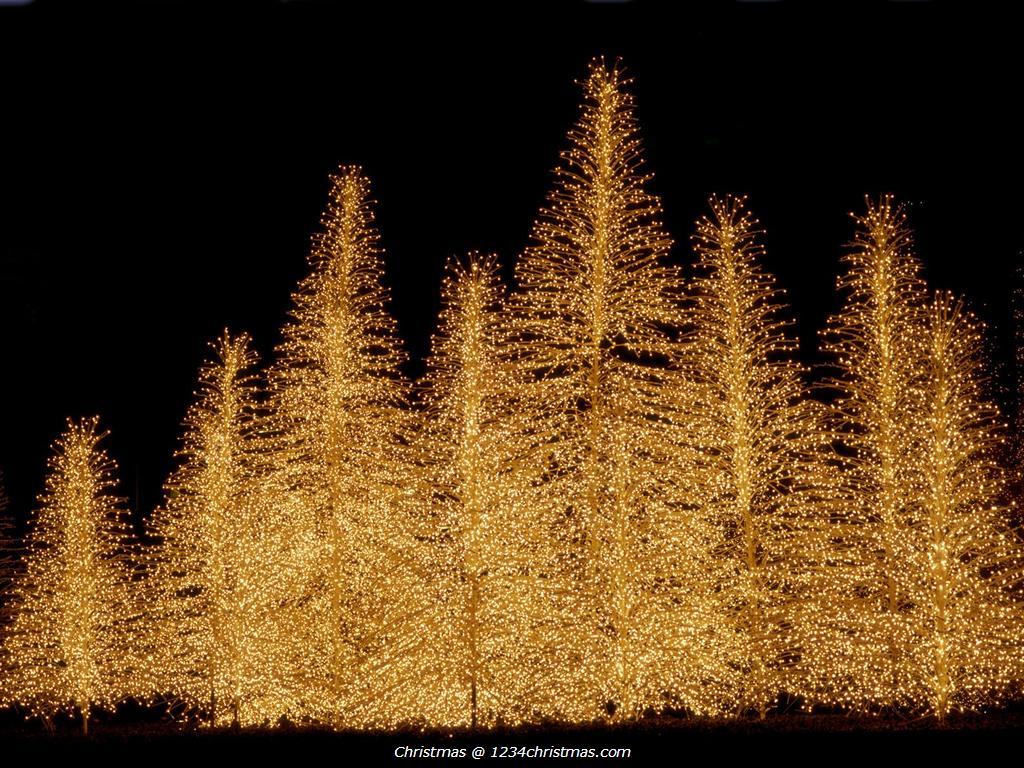 Christmas Tree Wallpaper for FREE Download