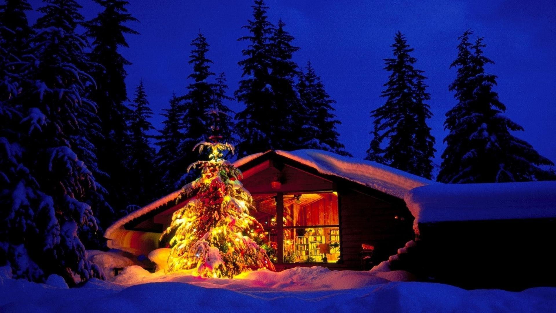 We have collection of most beautiful Christmas Nature