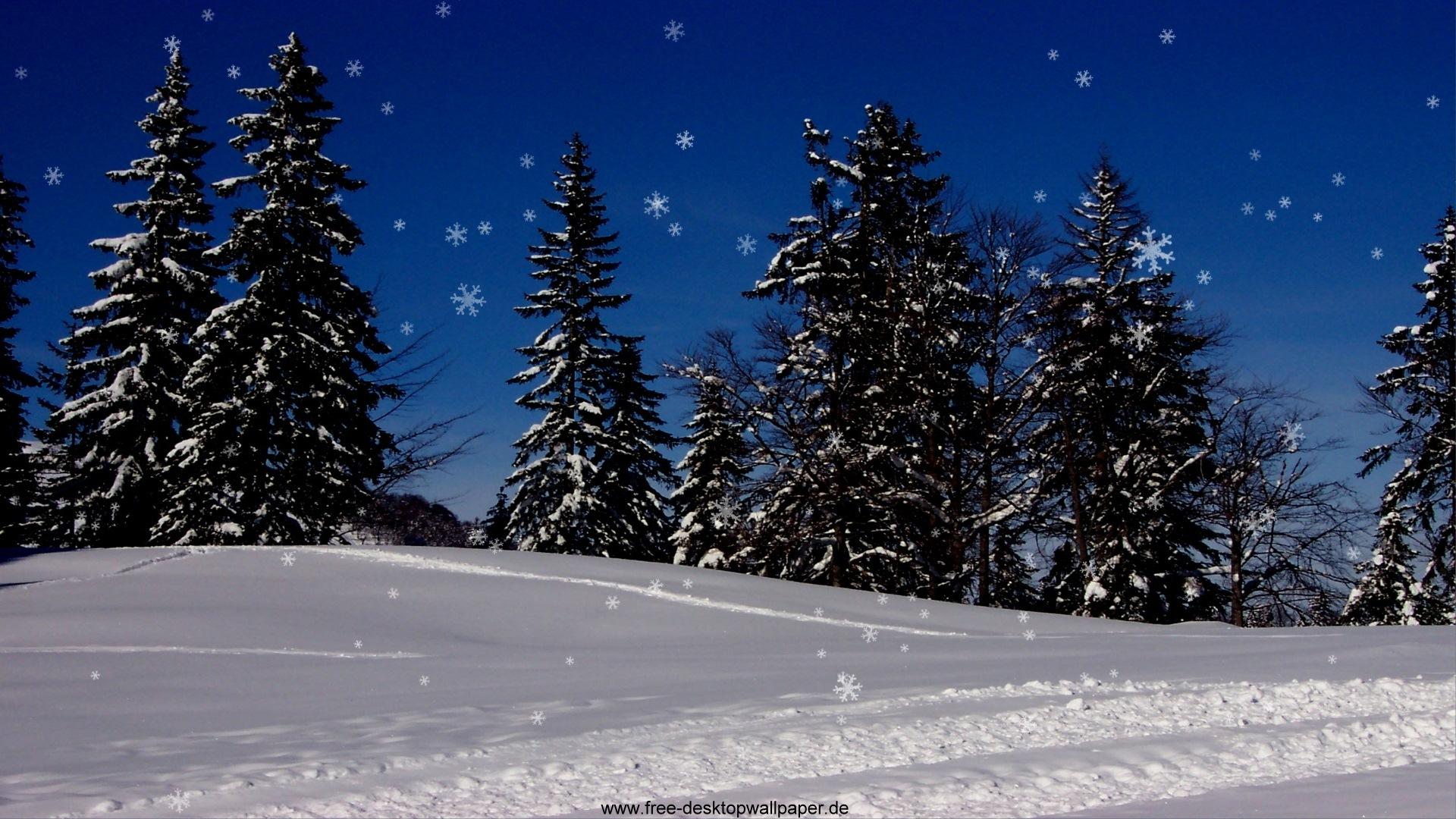 Free download Nature Christmas Snow Widescreen 1920x1080