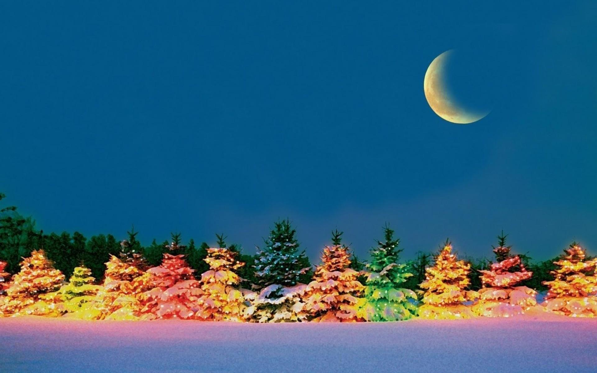 Colorful tree in the cold winter night