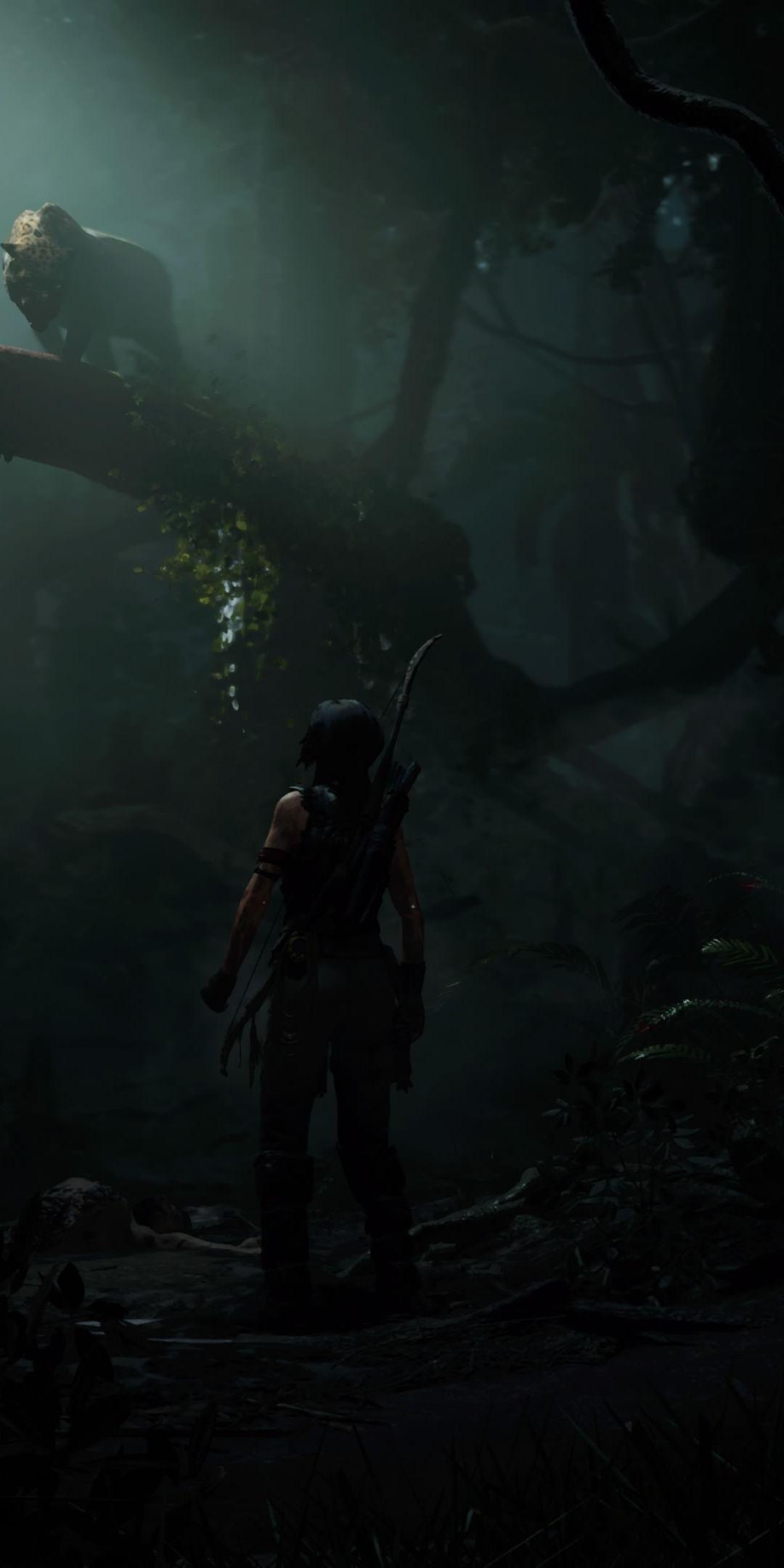 Tomb Raider, outdoor, dark, 1080x2160 wallpaper. Tomb