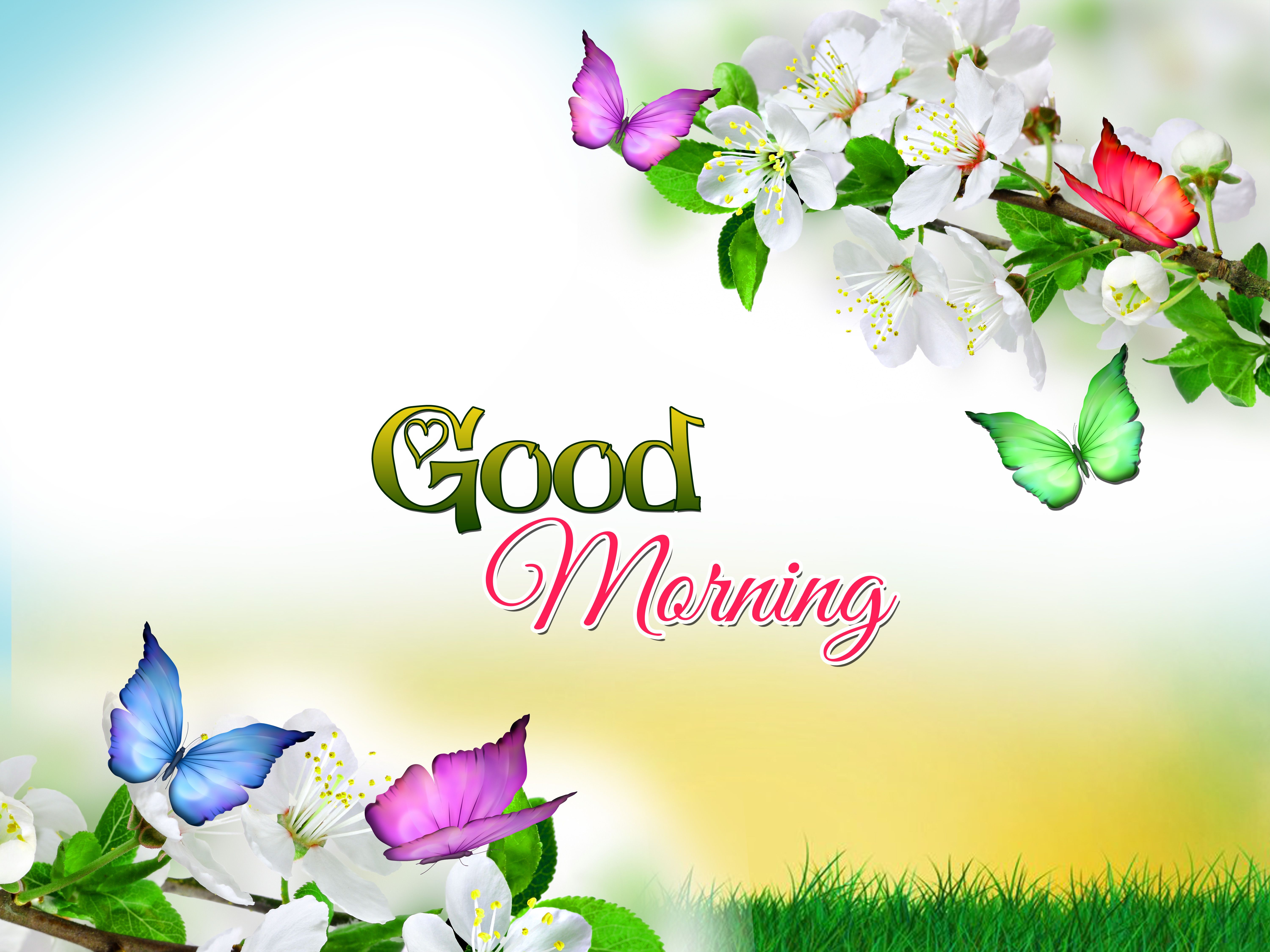 Good Morning Images Wallpapers - Wallpaper Cave