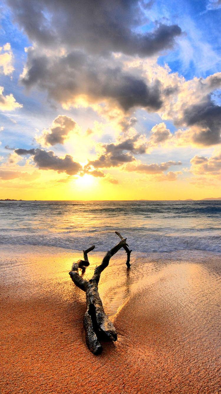 HD Tropical Beach iPhone Background
