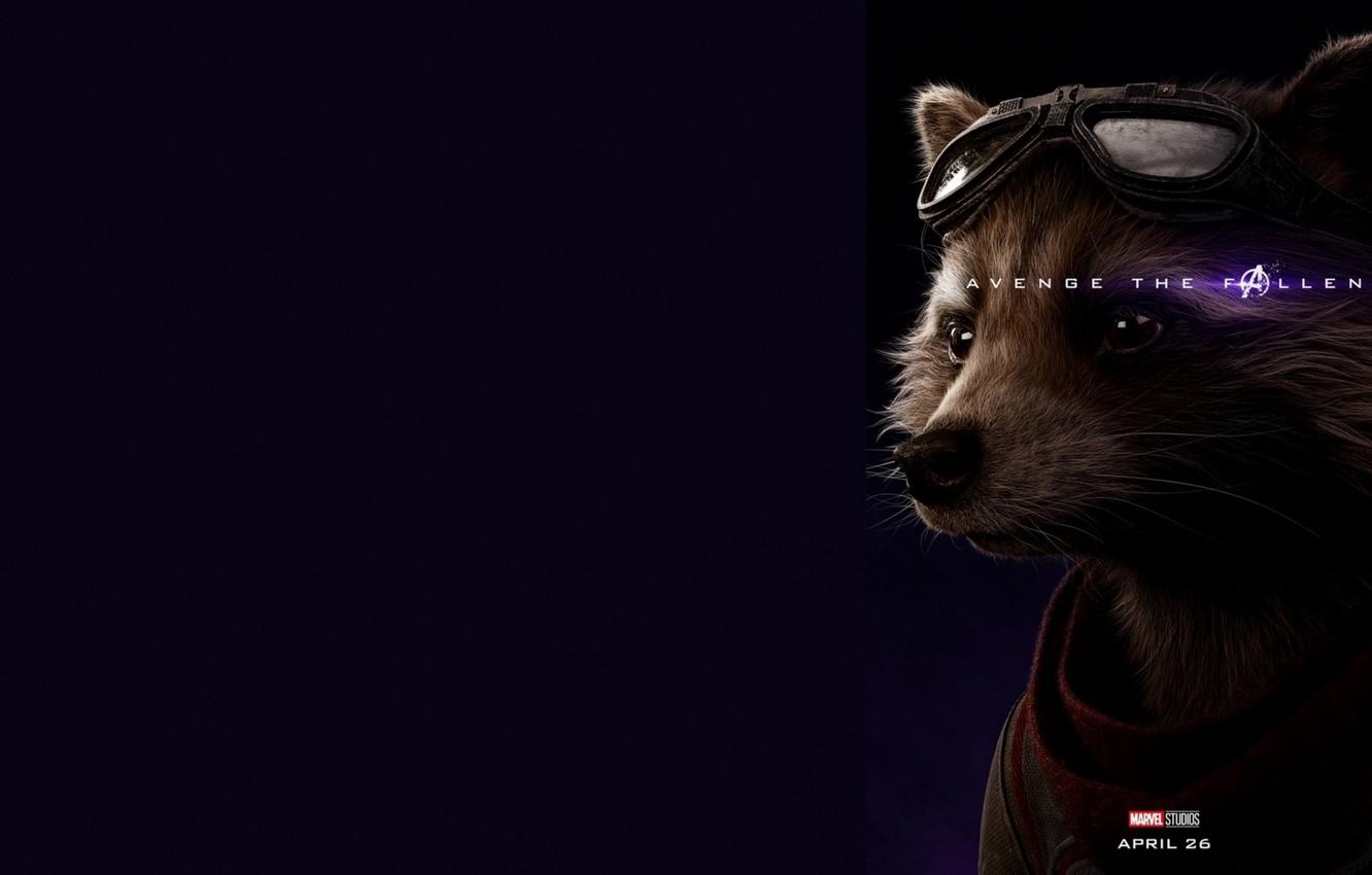 Wallpaper Rocket, Raccoon, Avengers: Endgame, Avengers Finale