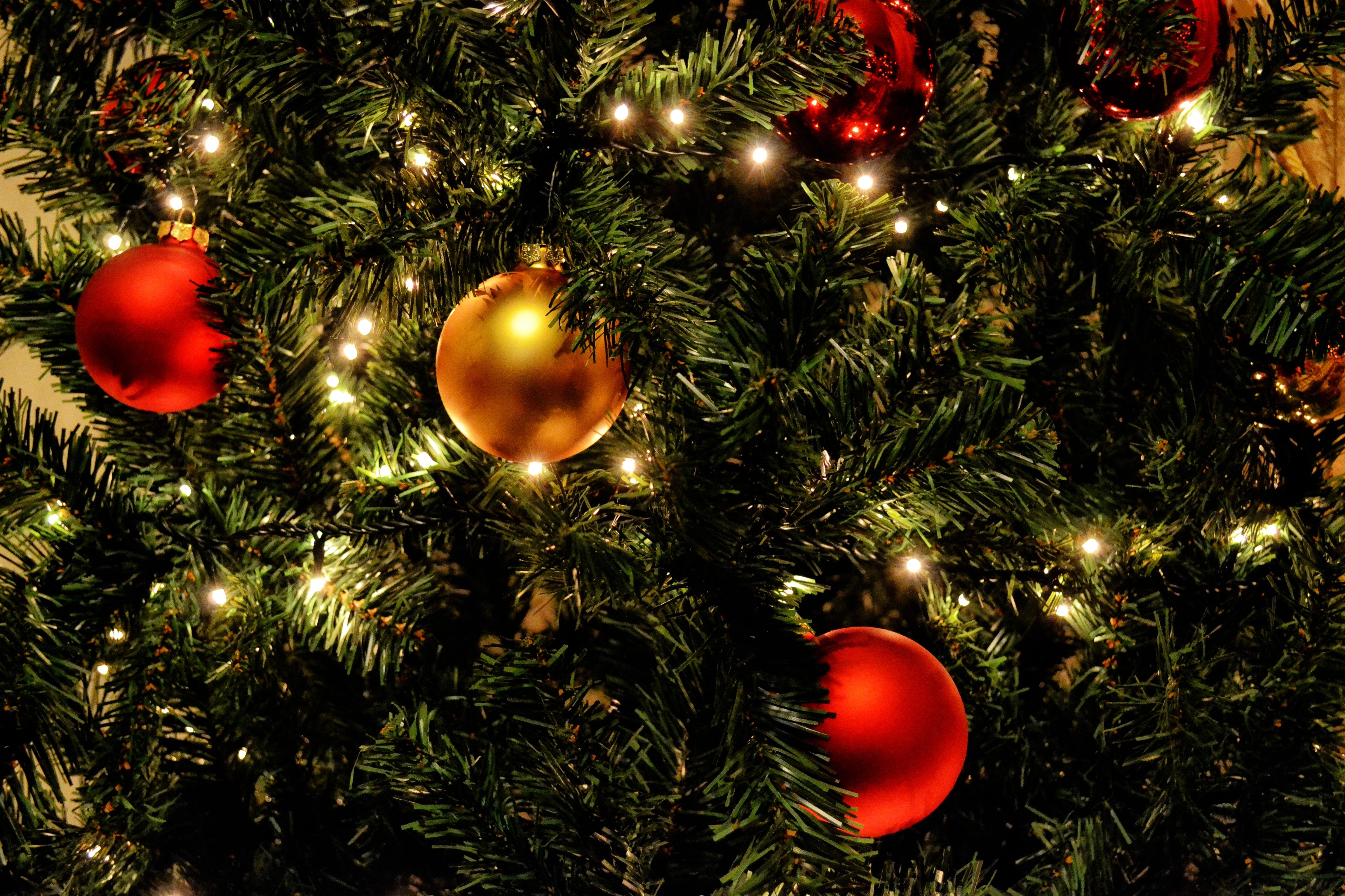 Green Christmas Tree With Red Baubles · Free