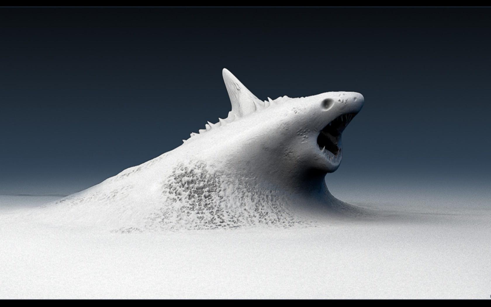 Download wallpaper: shark, wallpaper for desktop, download