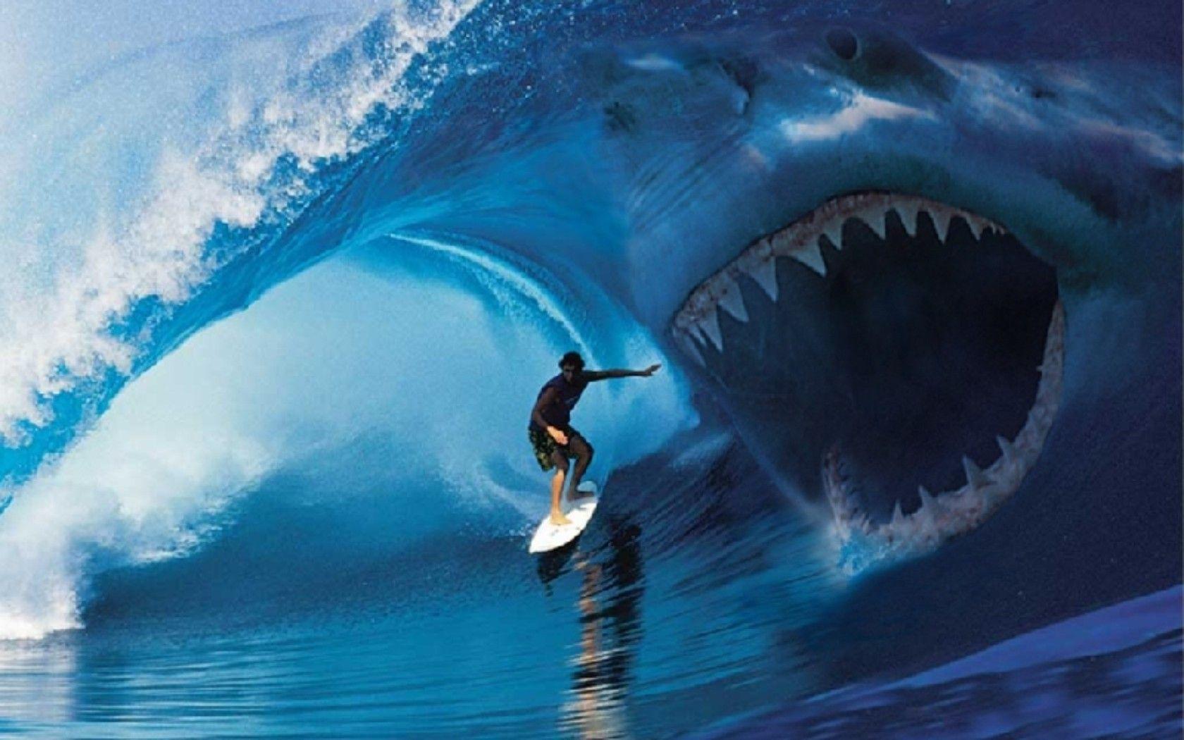 Shark Desktop Wallpaper