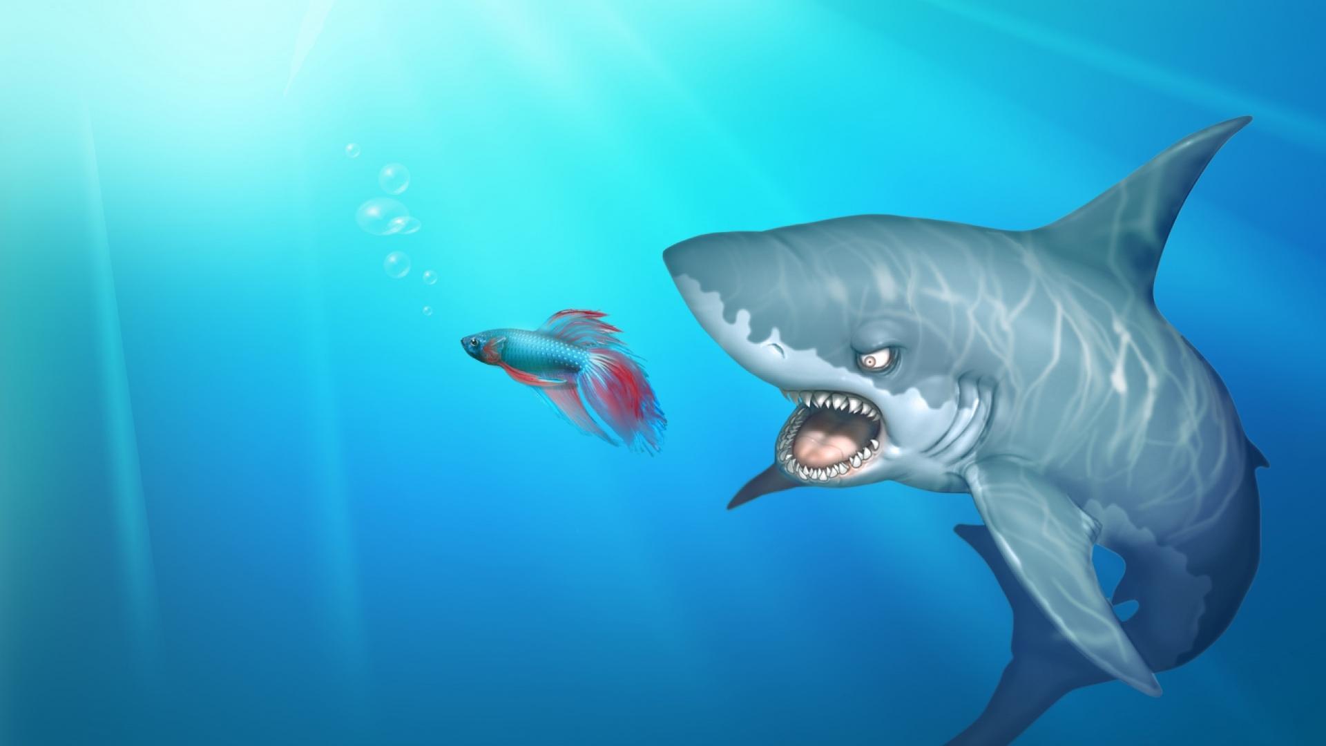 Shark Background Download Free