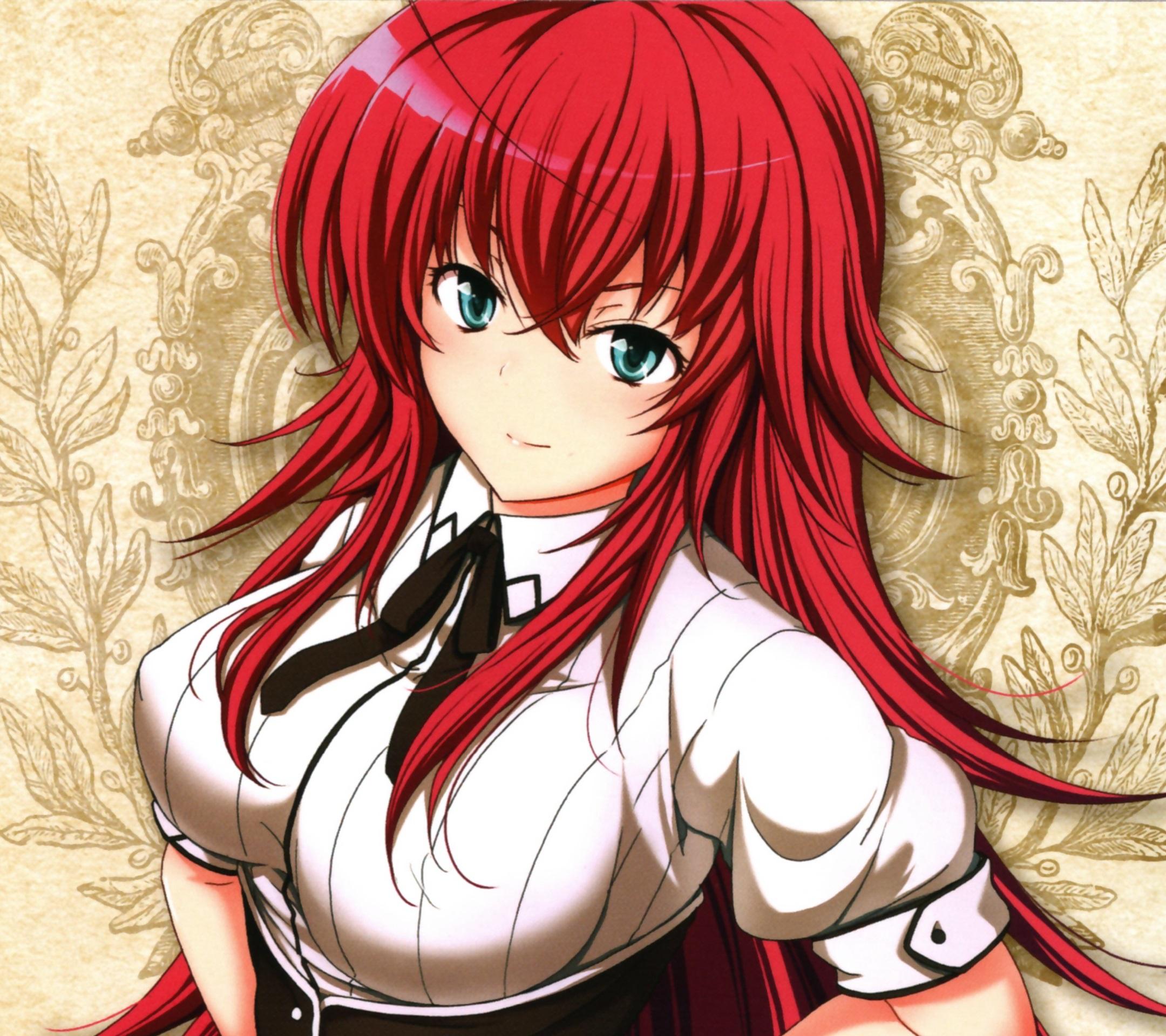 High School DxD NEW.Rias Gremory Android wallpaper.2160×1920