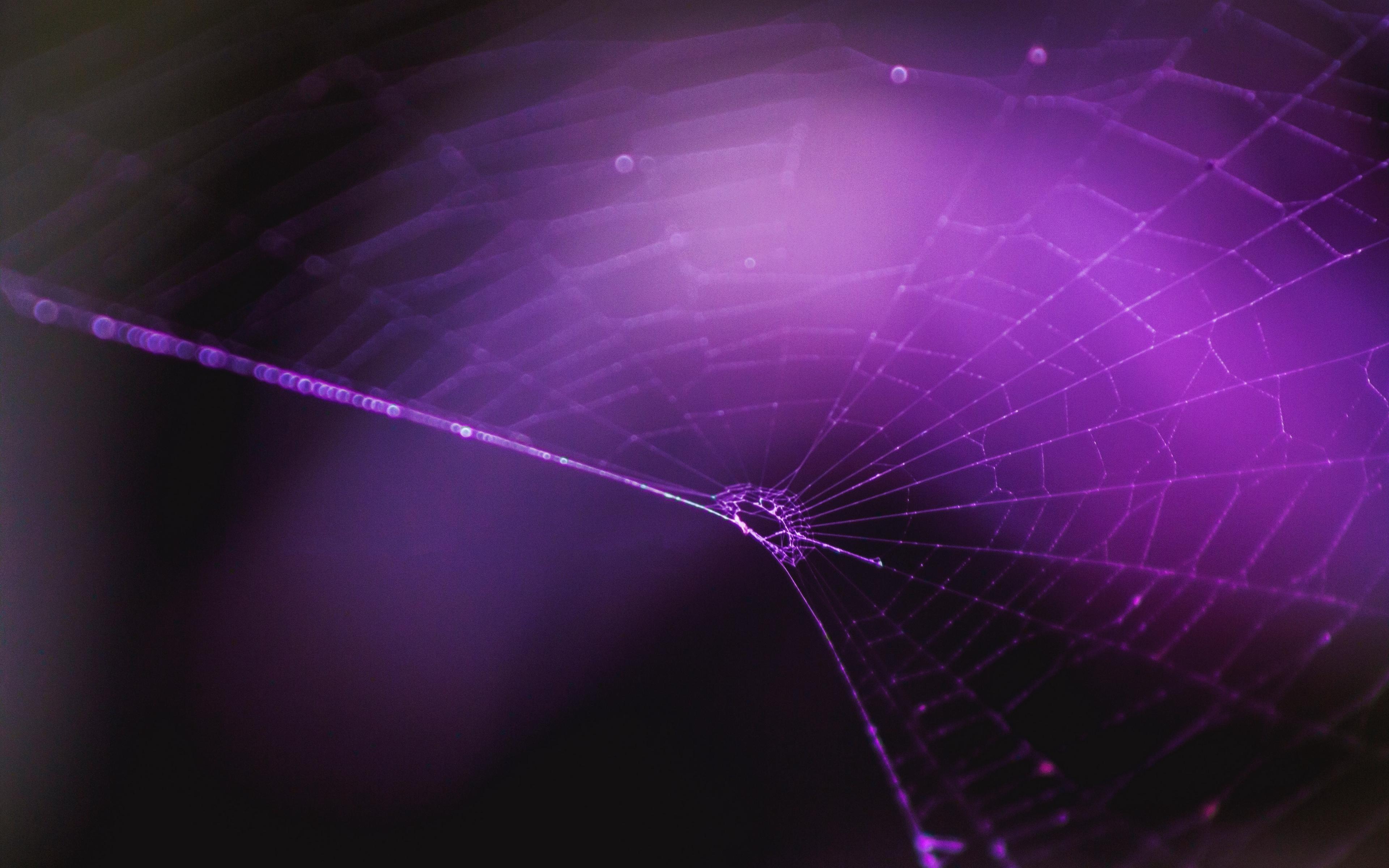 Download wallpaper 3840x2400 spiderweb, purple, weaving 4k
