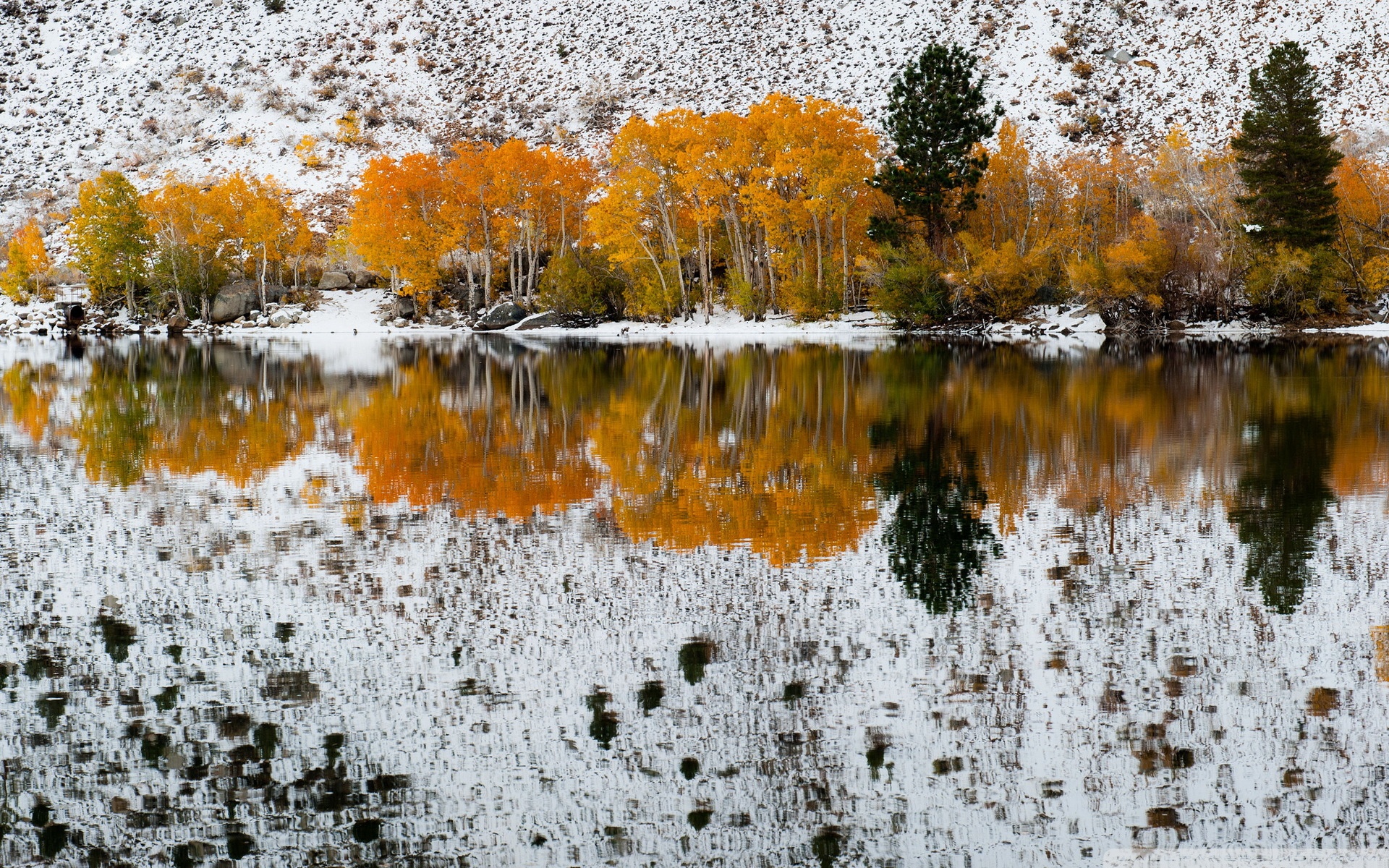 Bishop Creek California Winter ❤ 4K HD Desktop Wallpaper