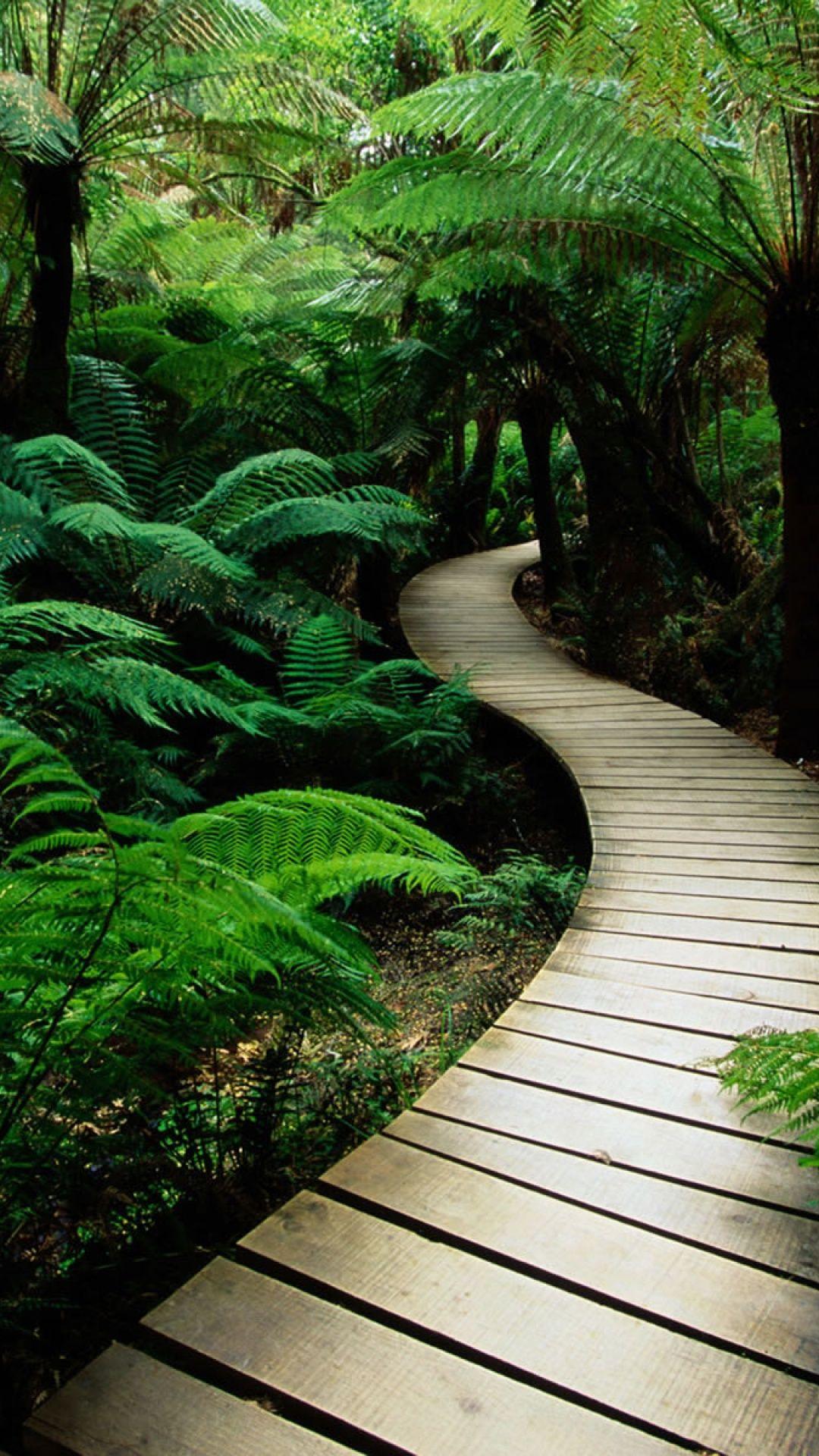 Nature iPhone Wallpaper Free Nature iPhone