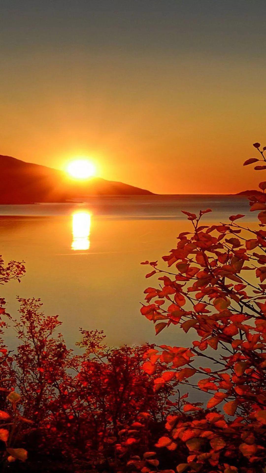Beautiful Sunset iPhone Wallpaper