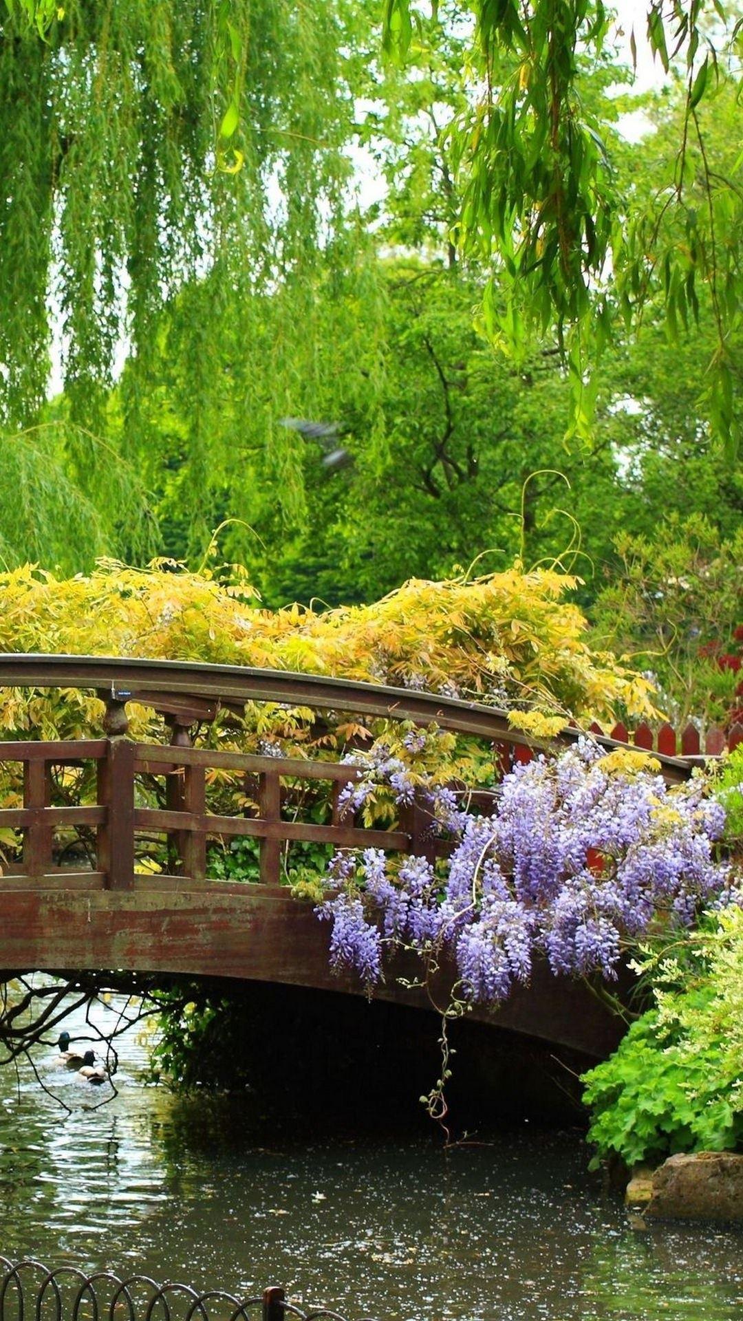 Wooden Bridge Blue Flowers Green Trees iPhone 6 Plus HD