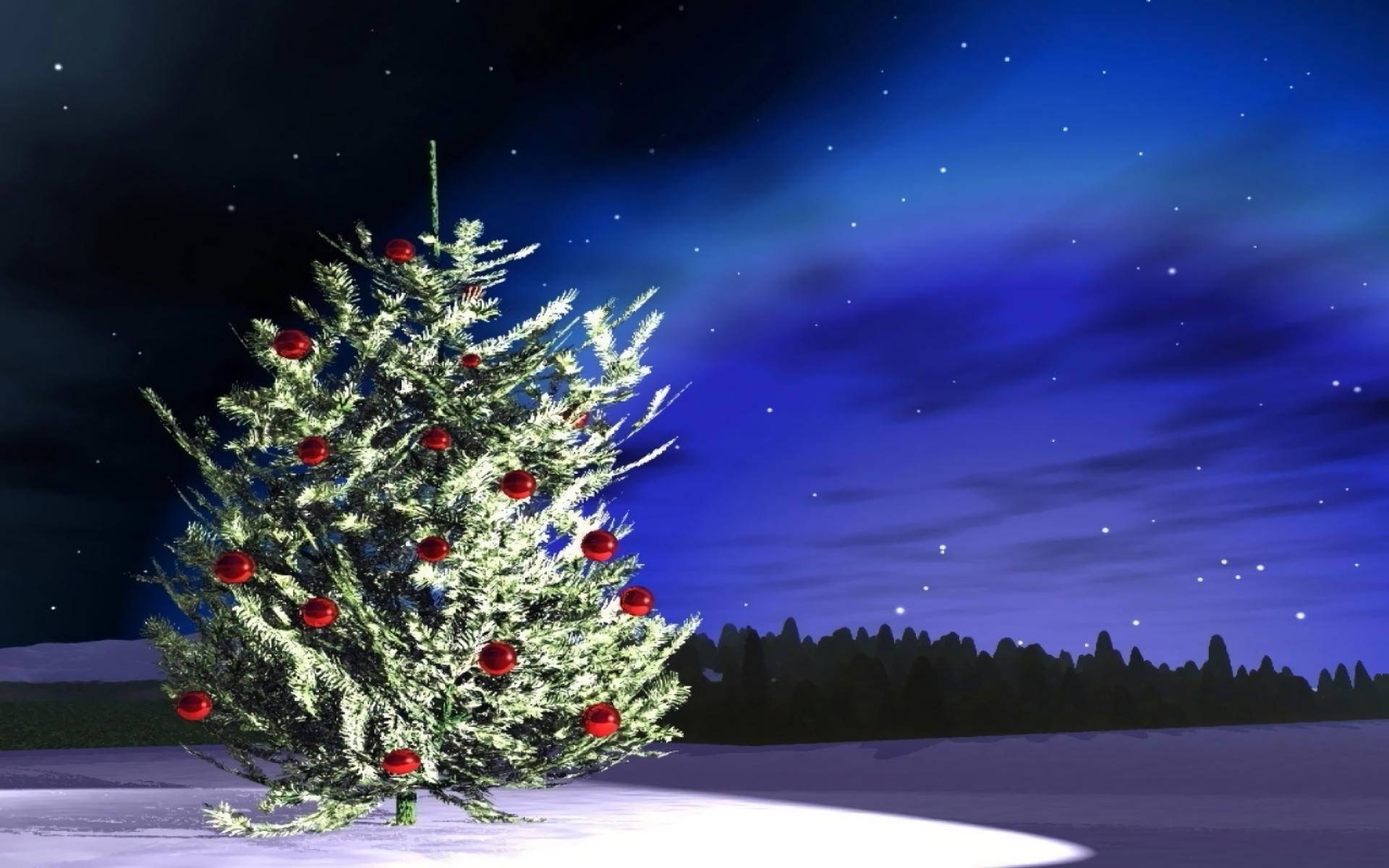 Christmas Tree HD Wallpaper. Background Imagex1200