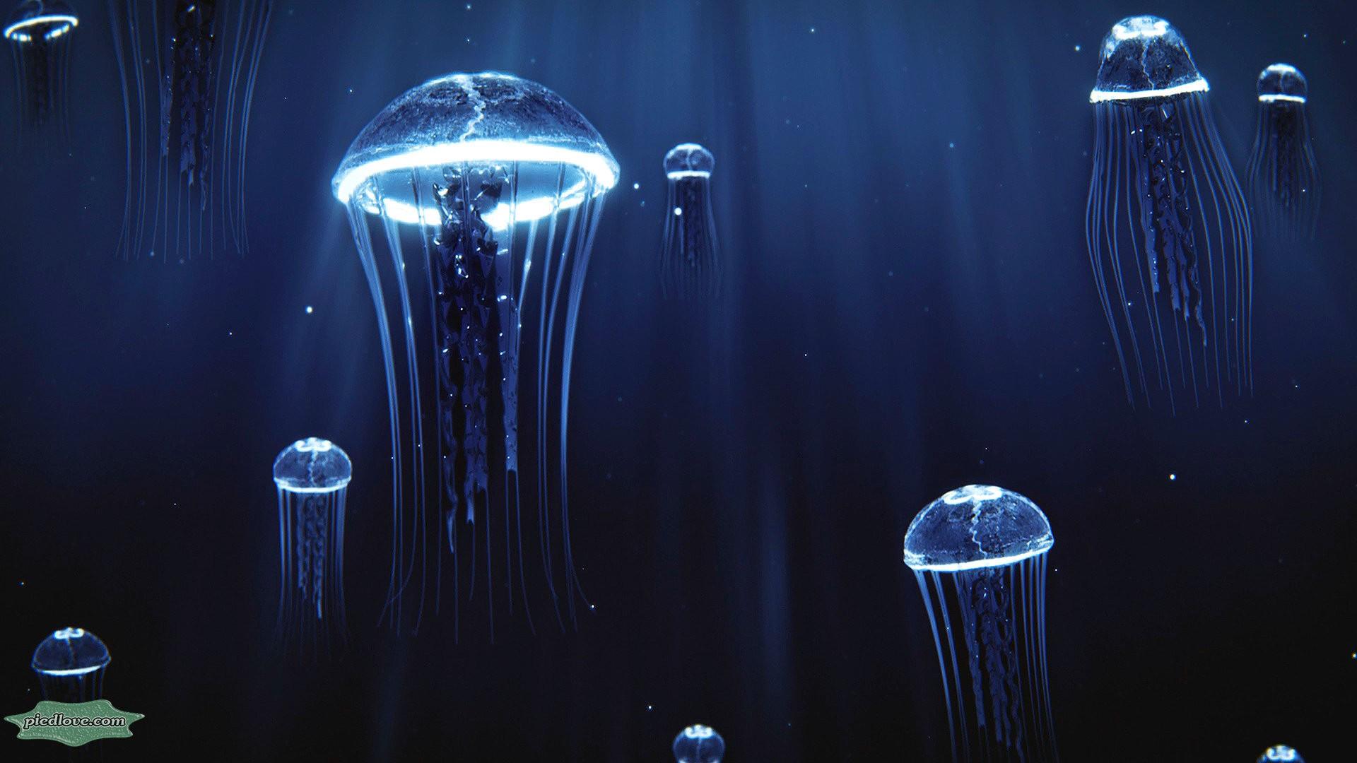 Deep Sea Jellyfish Light, HD Wallpaper & background