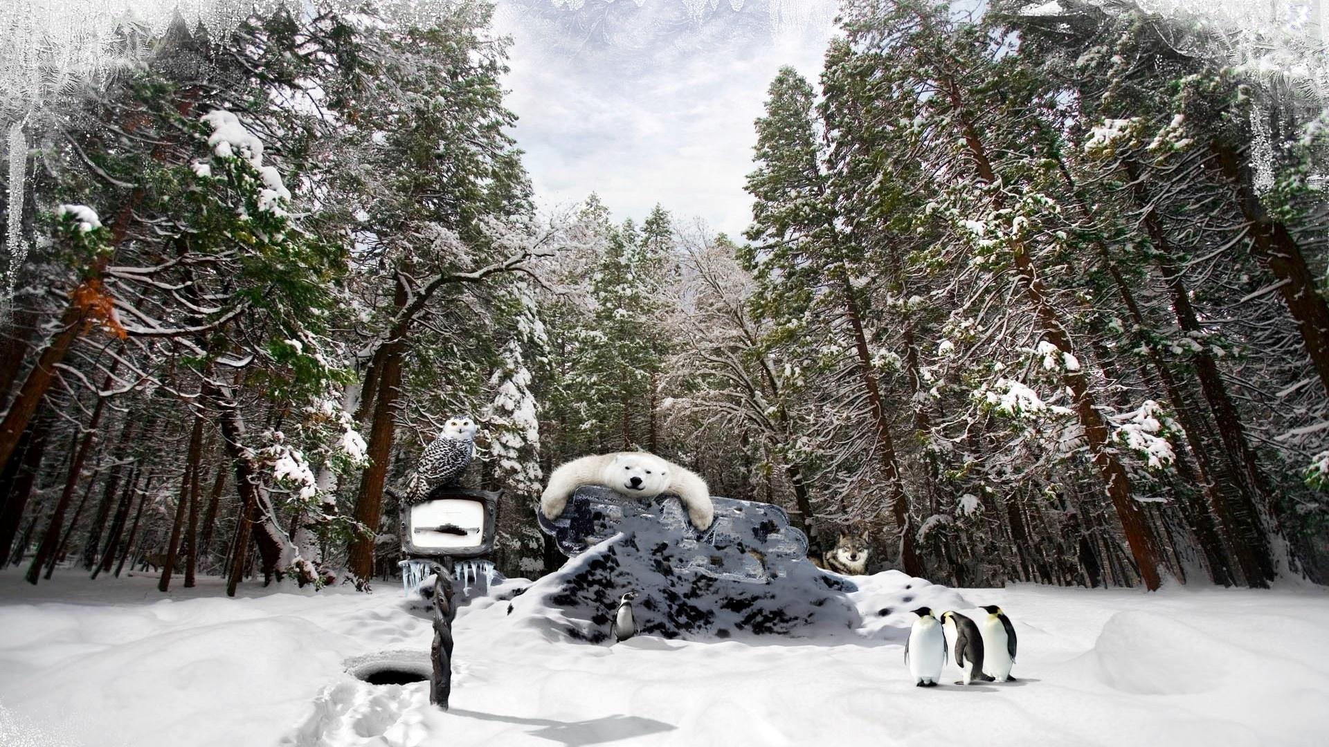 Winter Playground Wallpapers - Wallpaper Cave