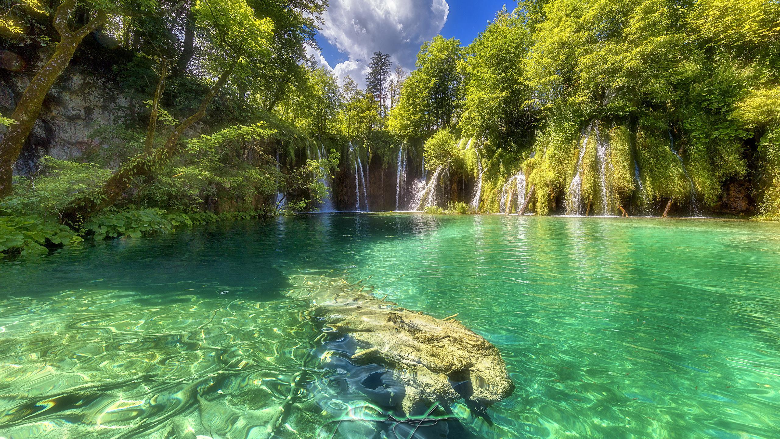 Photos Croatia Plitvice Lakes National Park Nature 2560x1440