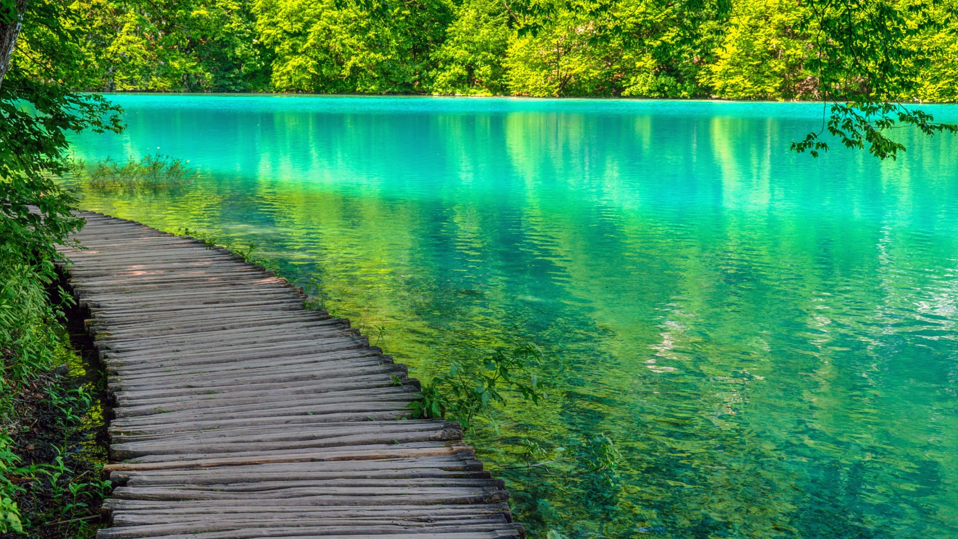 Free download croatia plitvice lakes national park full HD