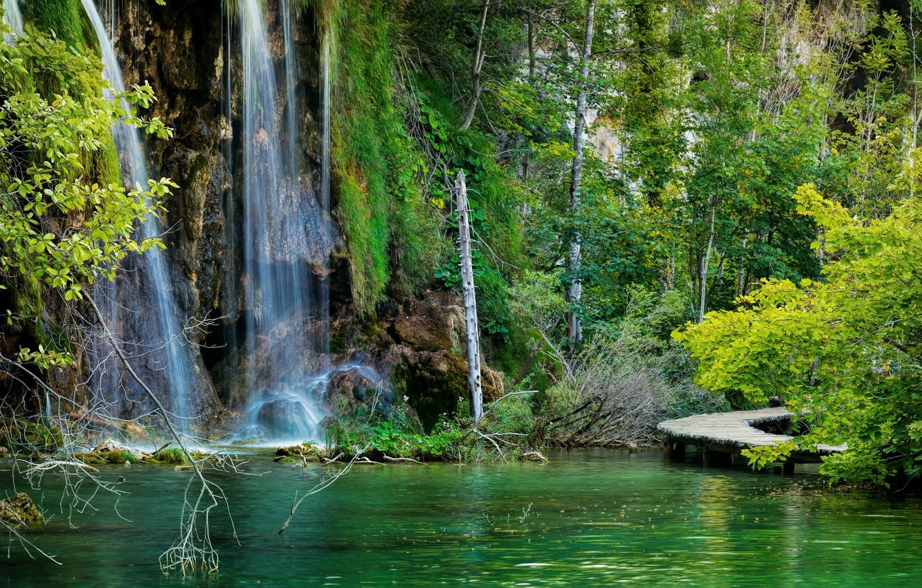 Wallpaper forest, lake, stones, rocks, waterfall, bridges