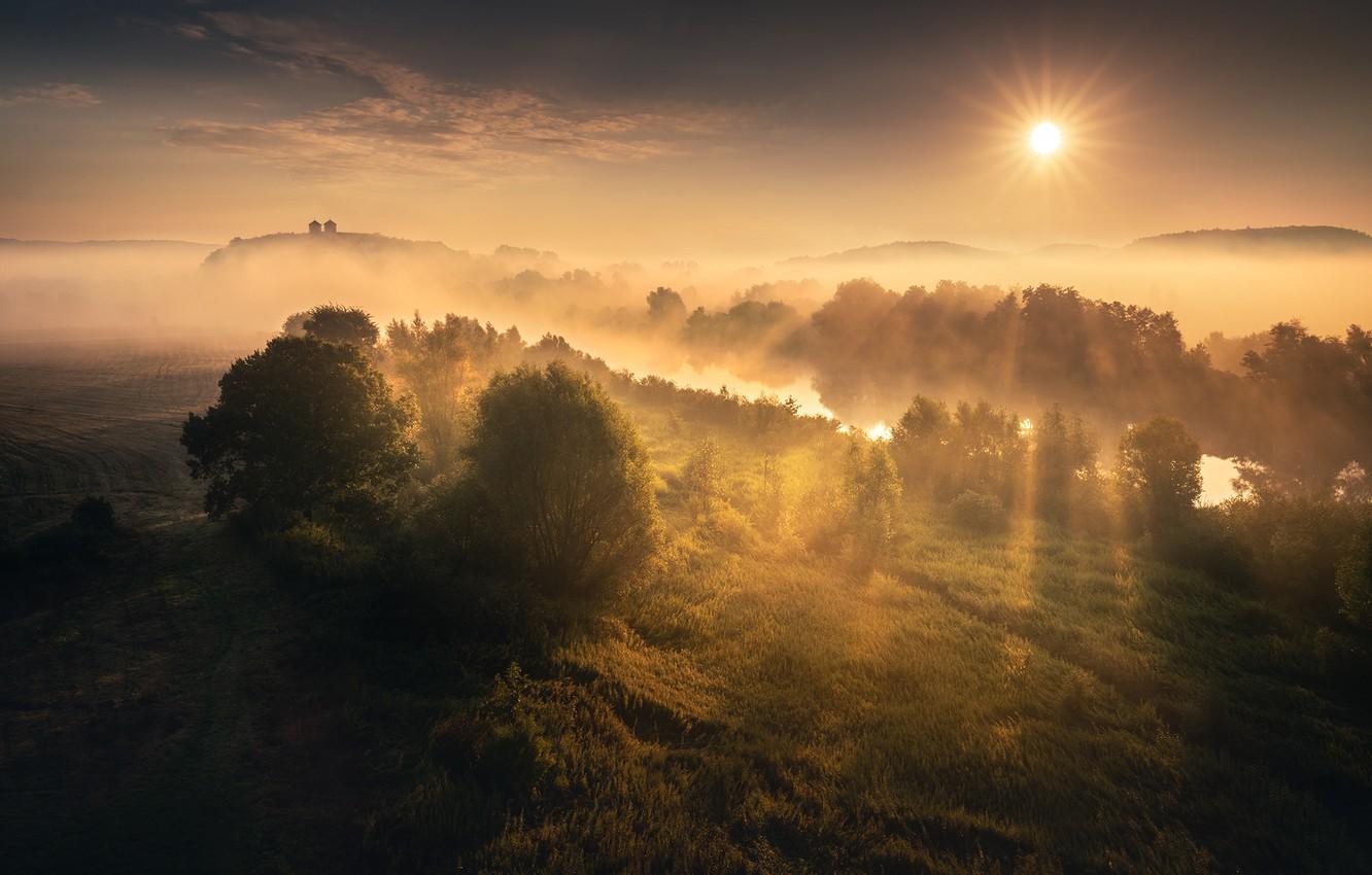 Wallpaper rays, fog, river, sunrise, The sun, river, rays
