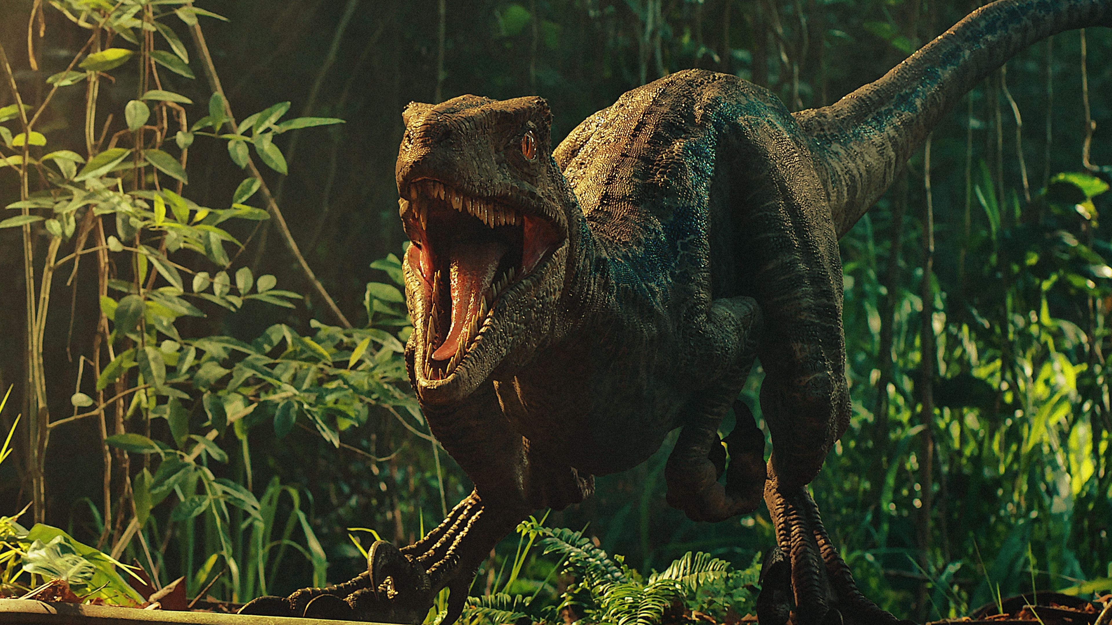 Featured image of post Jurassic World Wallpaper 1920X1080 We have 73 background pictures for you