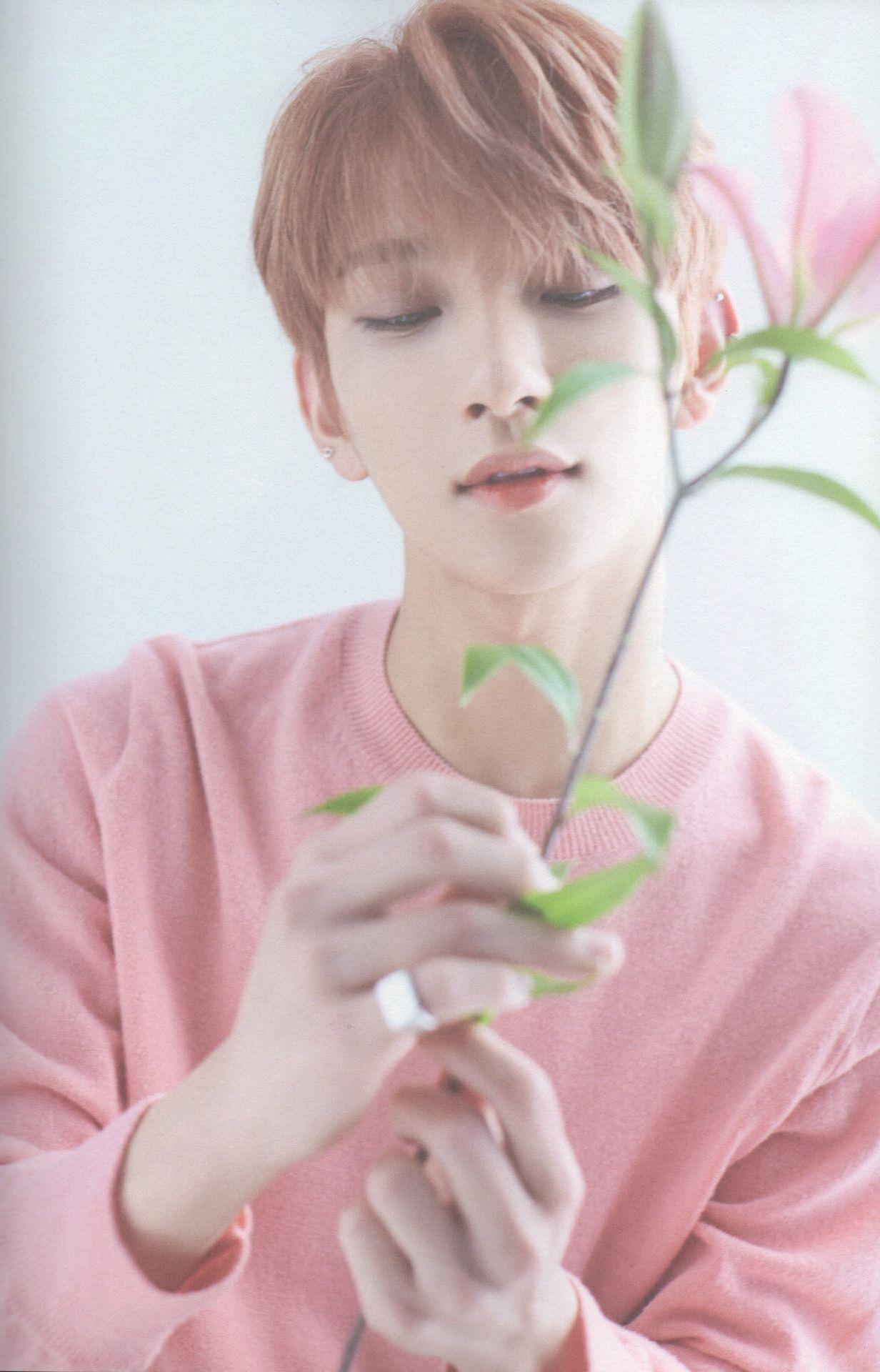 He's prettier than the flower he's holding. 애정 in 2019