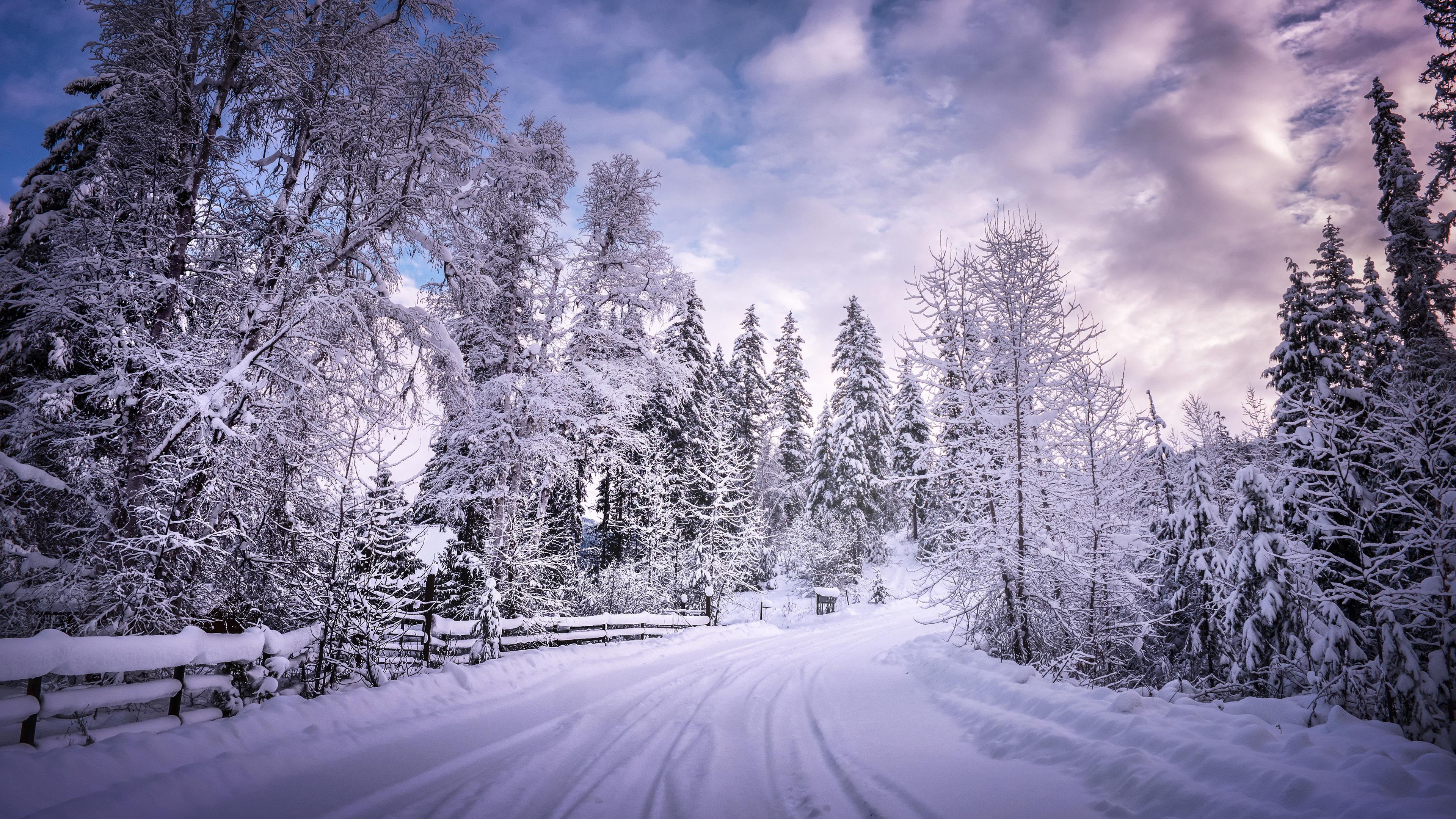 Winter Road Snow Trees White, HD Nature, 4k Wallpaper