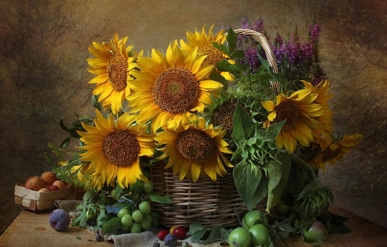 Wallpaper flowers, Apple, sunflower, still life, drain