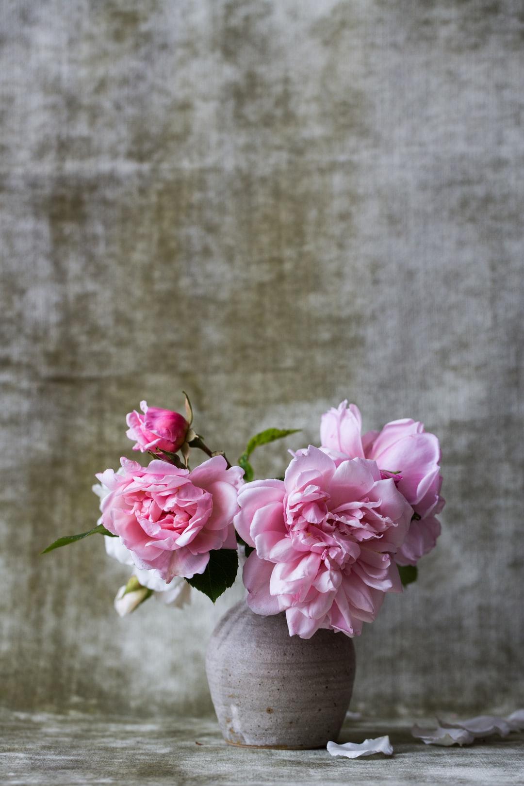 Still Life Picture. Download Free Image