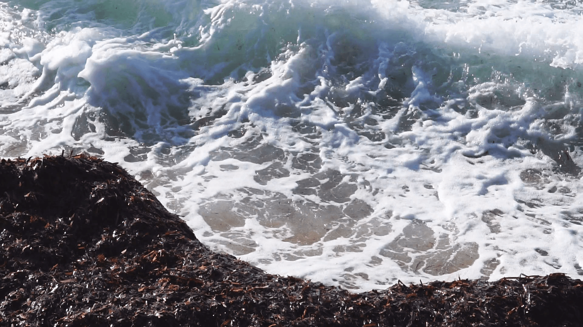 Waves splashing over the wavebreaker from seaweeds in real time Stock Video Footage