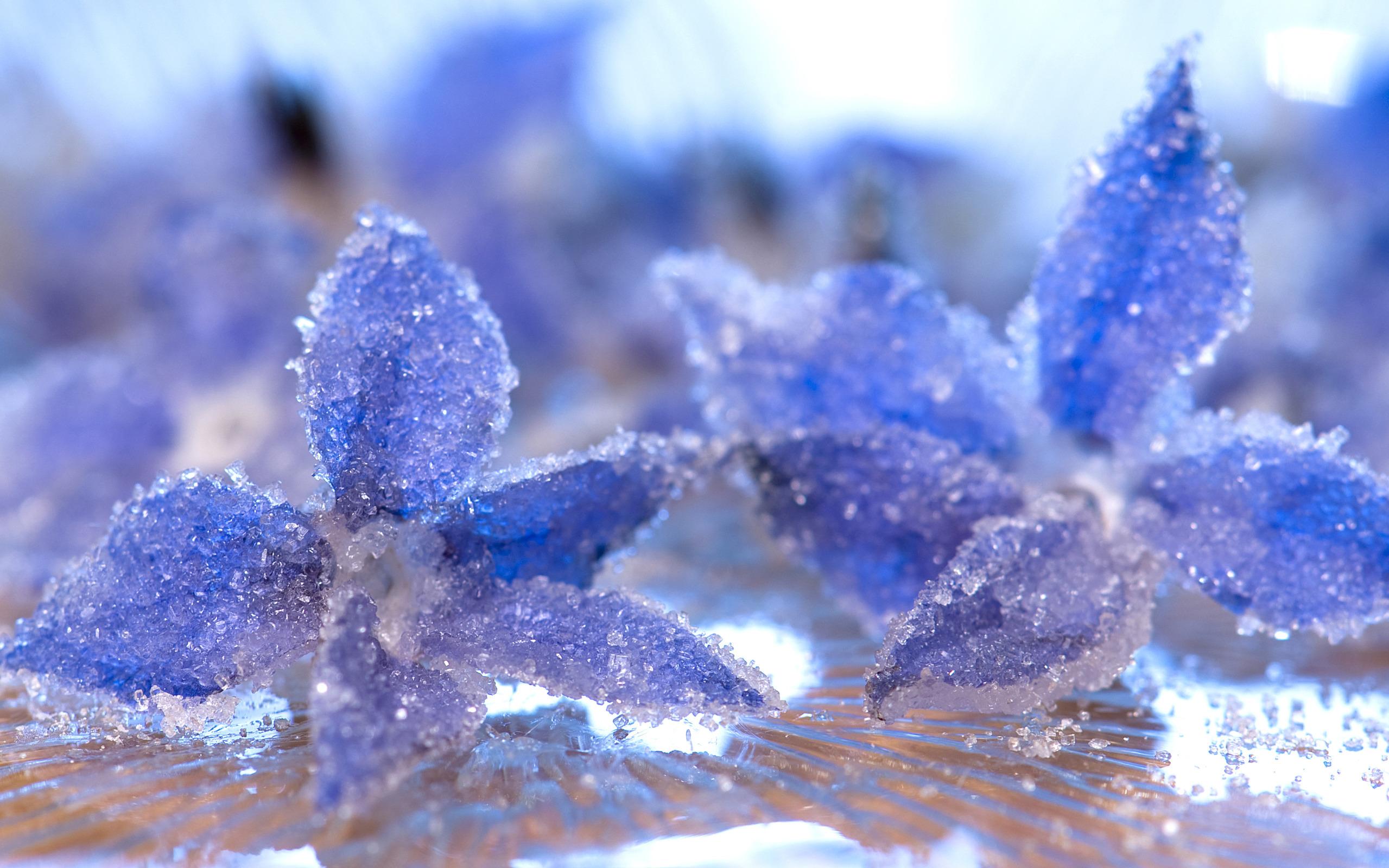 Free download up crystal ice frost petals water flower bokeh wallpaper background [2559x1600] for your Desktop, Mobile & Tablet. Explore Ice Crystal Wallpaper. Crystal Wallpaper for Walls, Swarovski Crystal