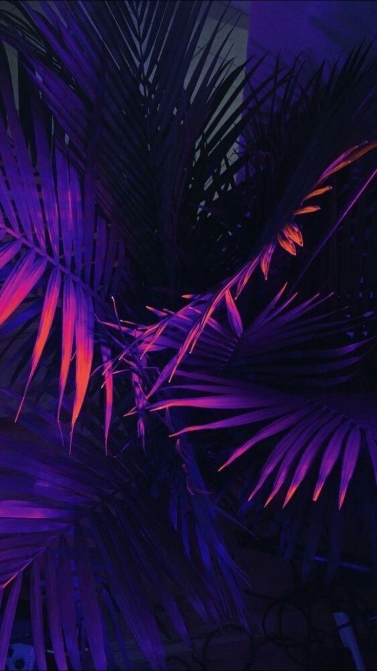 retrowave. Neon wallpaper, Purple aesthetic