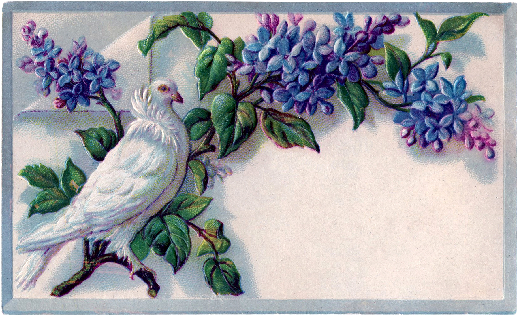 Free Clip Art Lilacs! Graphics Fairy