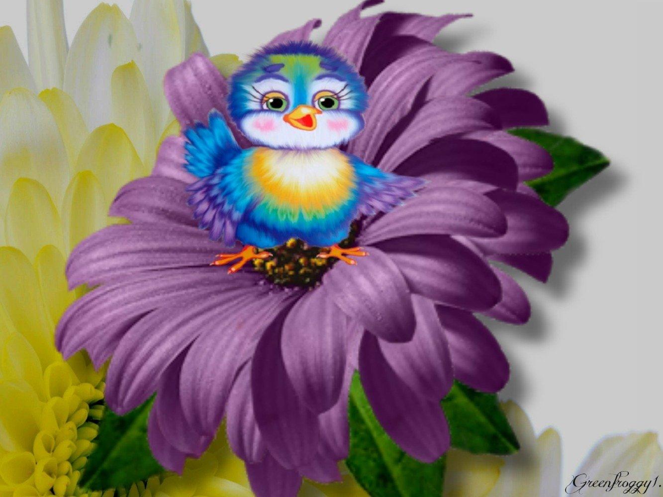 LITTLE BLUE BIRD Wallpaper and Background Imagex1000