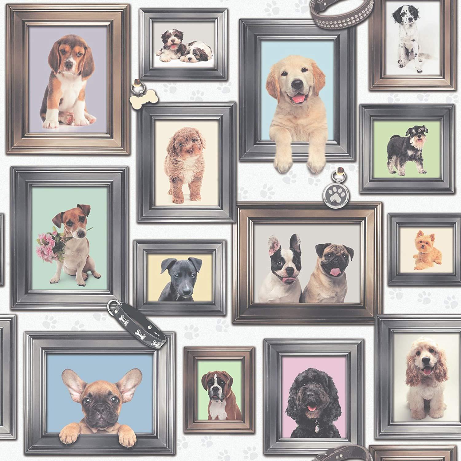 Puppy Love Wallpaper by RASCH (U.K) Limited: Amazon