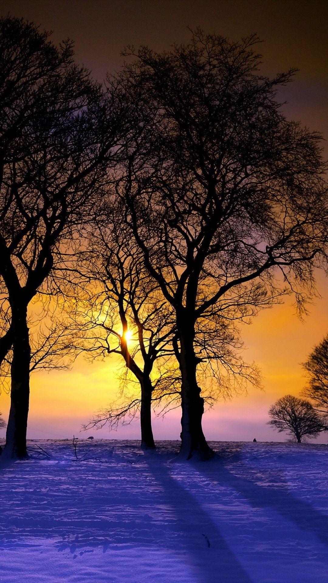 sunset, winter, trees, landscape. Winter trees, Beautiful nature, Beautiful world