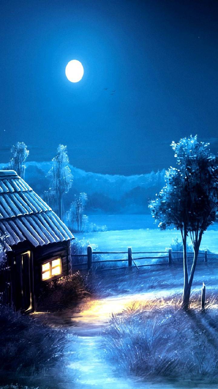 Cold winter night Wallpaper
