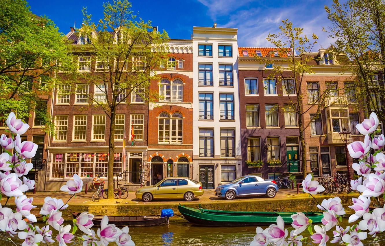 Wallpaper river, spring, boats, Amsterdam, flowering, blossom, Amsterdam, flowers, old, spring, buildings, Netherlands, canal image for desktop, section город