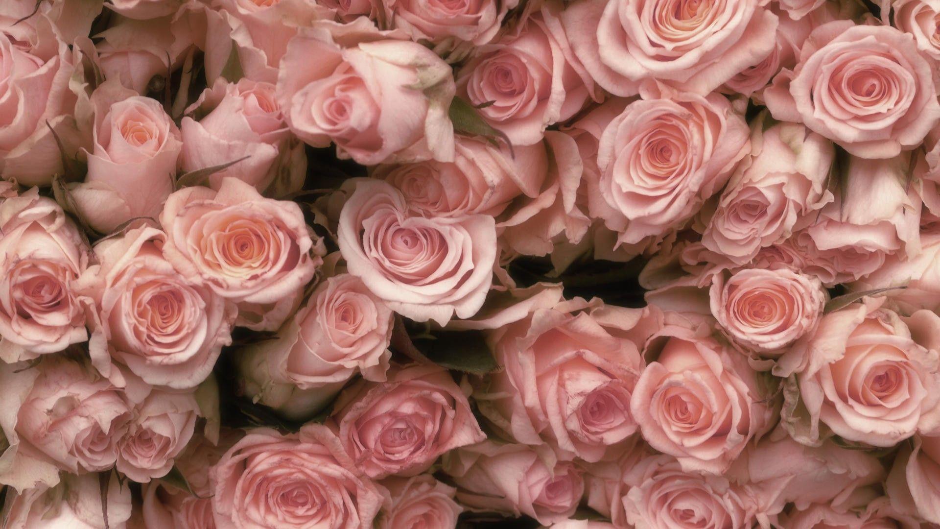 Vintage Roses Desktop Wallpaper