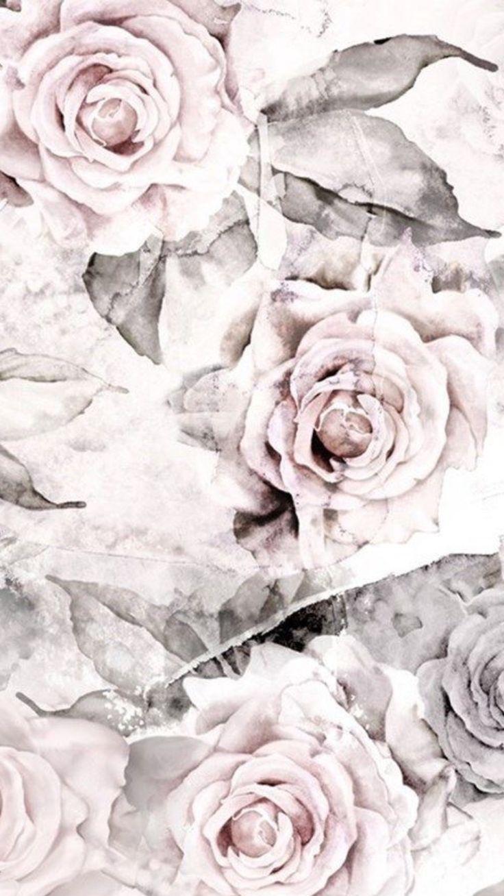 Blush grey vintage roses iphone phone wallpaper background