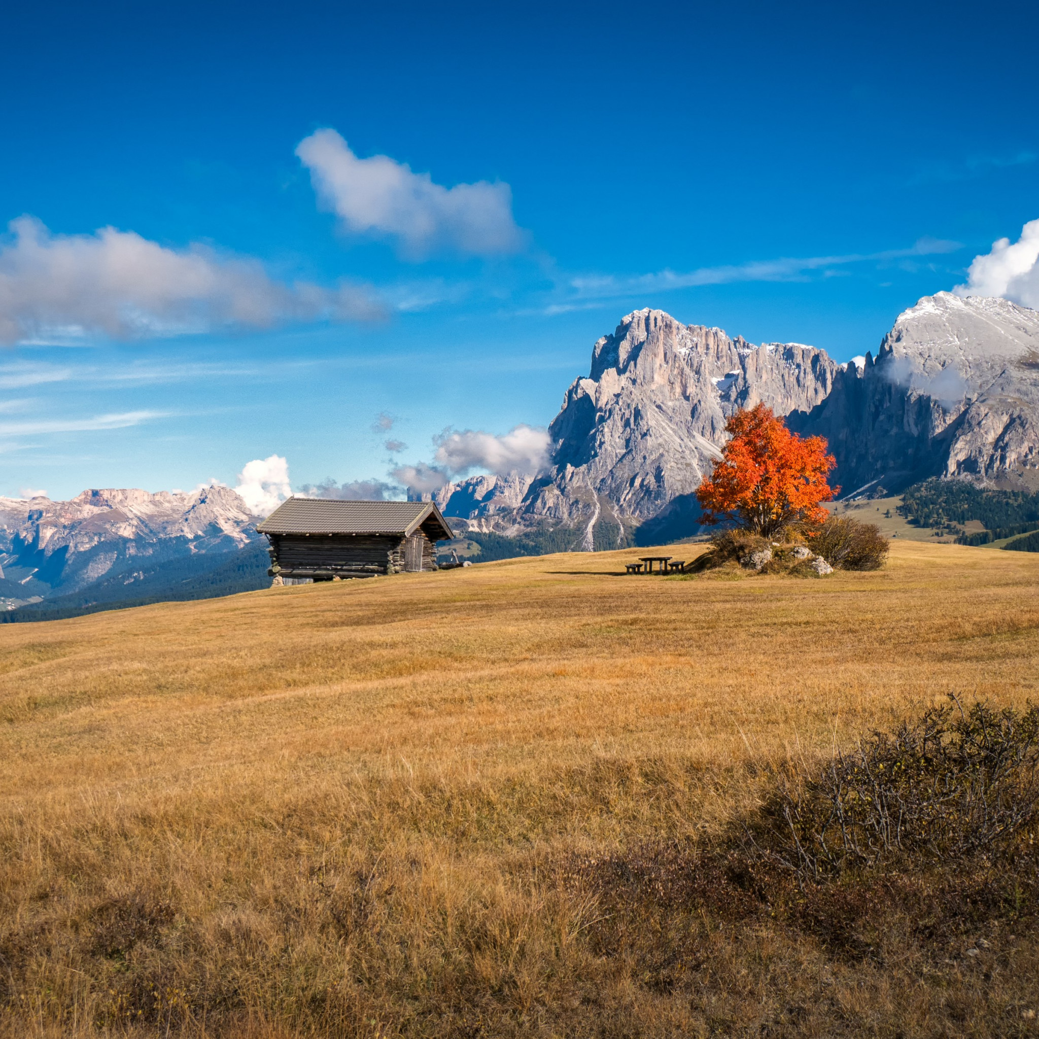 Download wallpaper: Perfect Autumn landscape from South