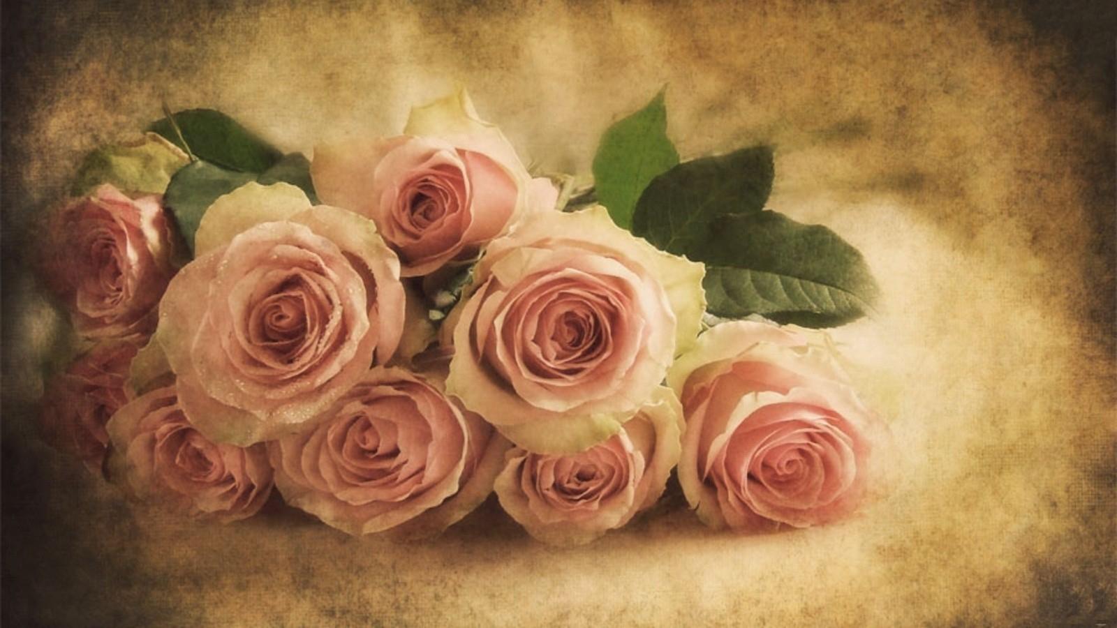 Vintage Roses Wallpapers - Wallpaper Cave