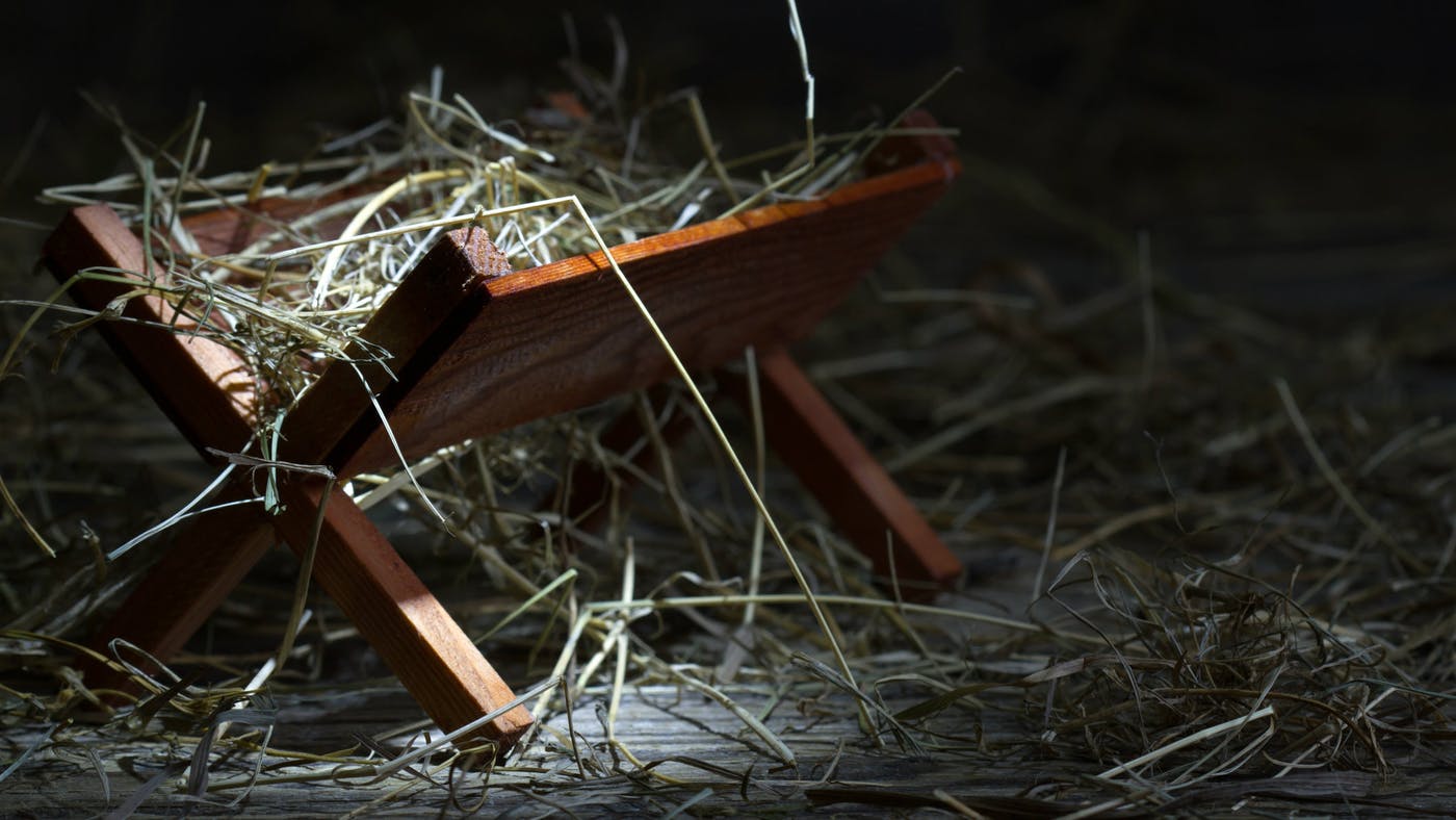 The Manger: A Sign for the Suffering