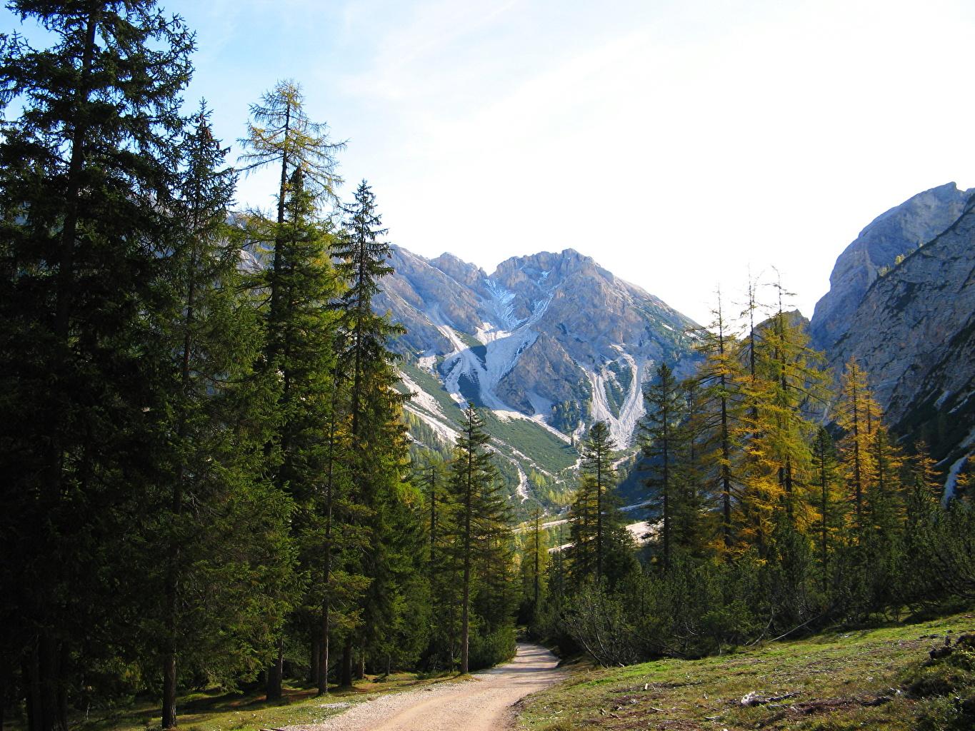 Wallpaper Italy South Tyrol Nature mountain Scenery Trees
