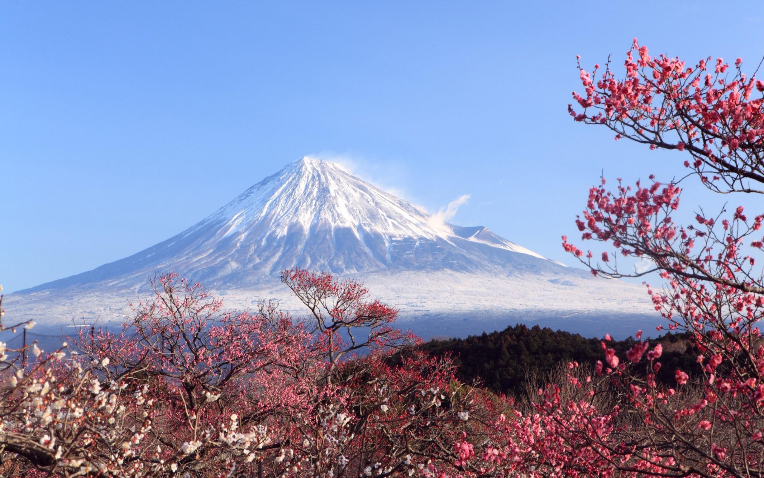 Desktop Mount Fuji Wallpapers.