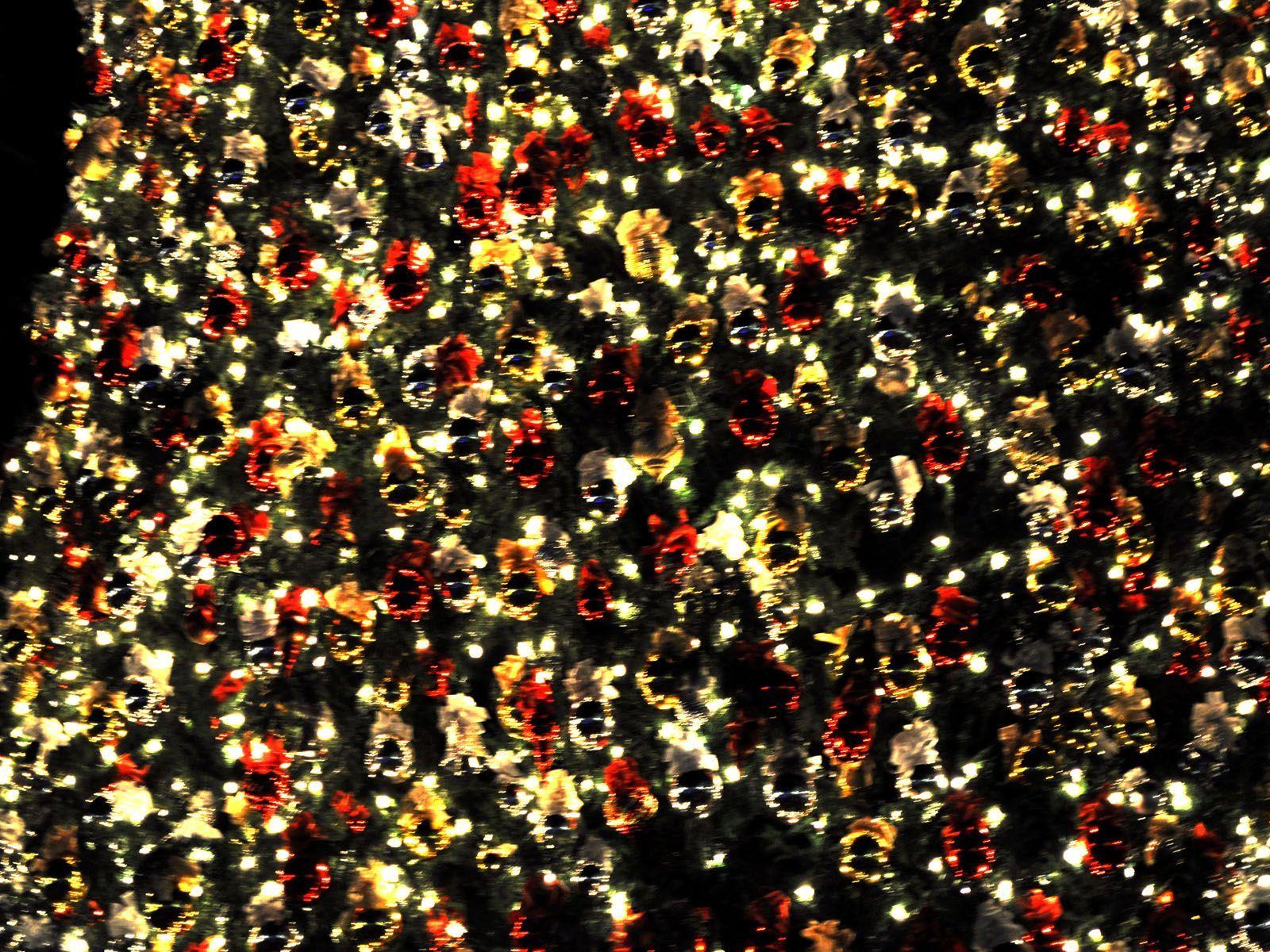 Image for Christmas Lights Photography Tumblr Free Wallpaper. Christmas wallpaper background, Christmas tumblr photography, Christmas wallpaper tumblr