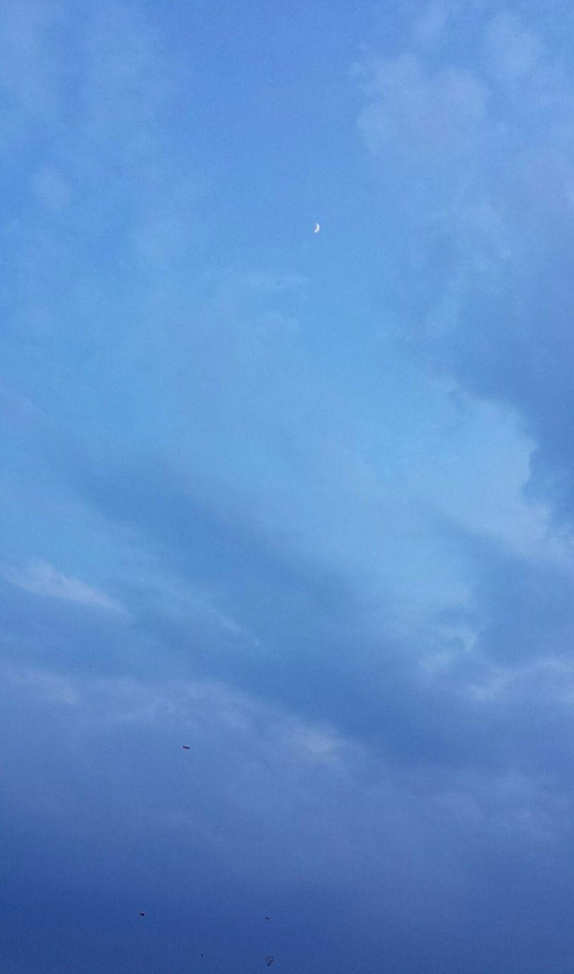 Featured image of post Tumblr Hintergrundbilder Blau Sch nen blauen hintergrund mit luftballons hoch am himmel